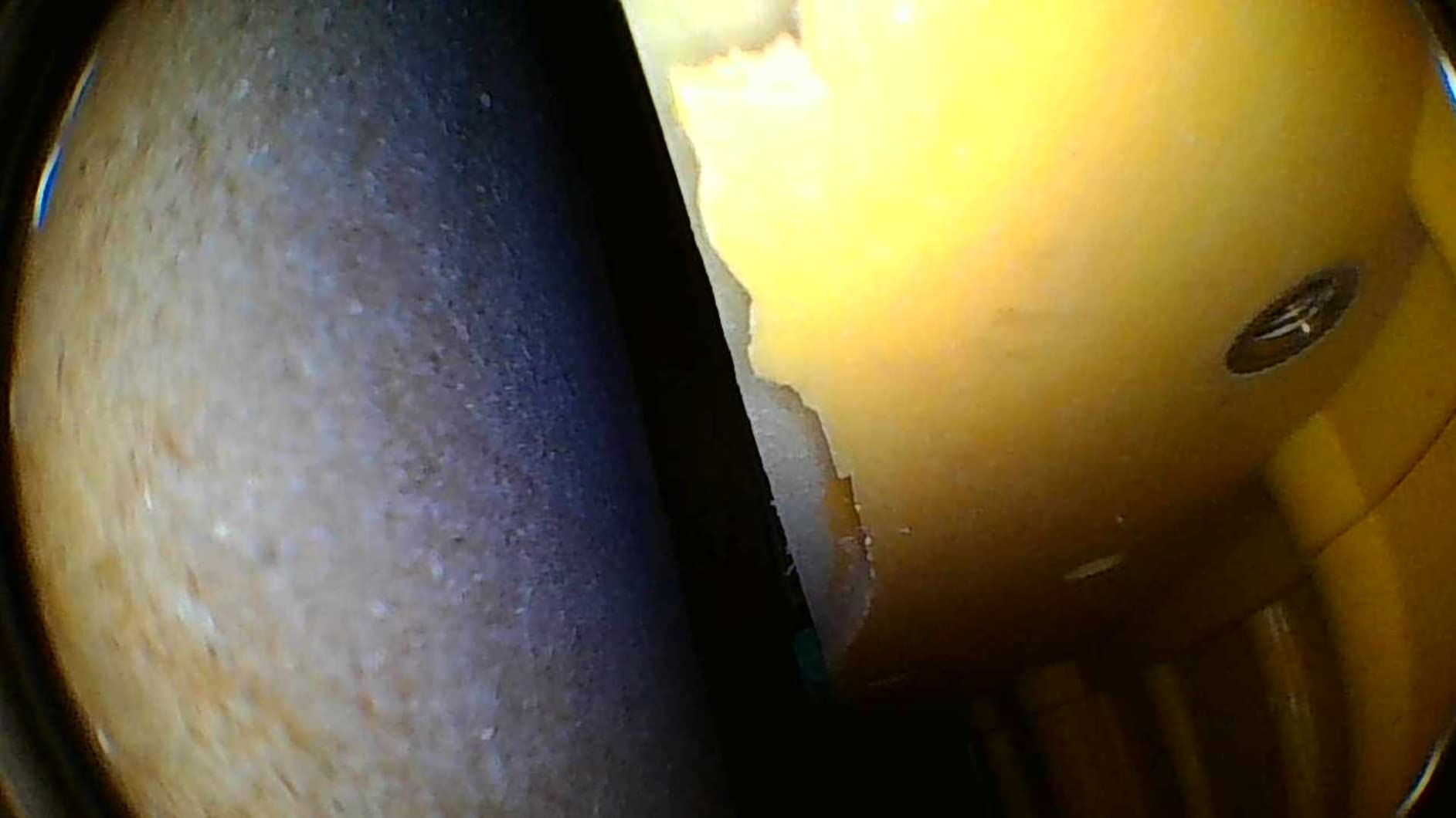 Teslong Telescopic Endoscope Inspection Camera with Screen & Light, 4.5