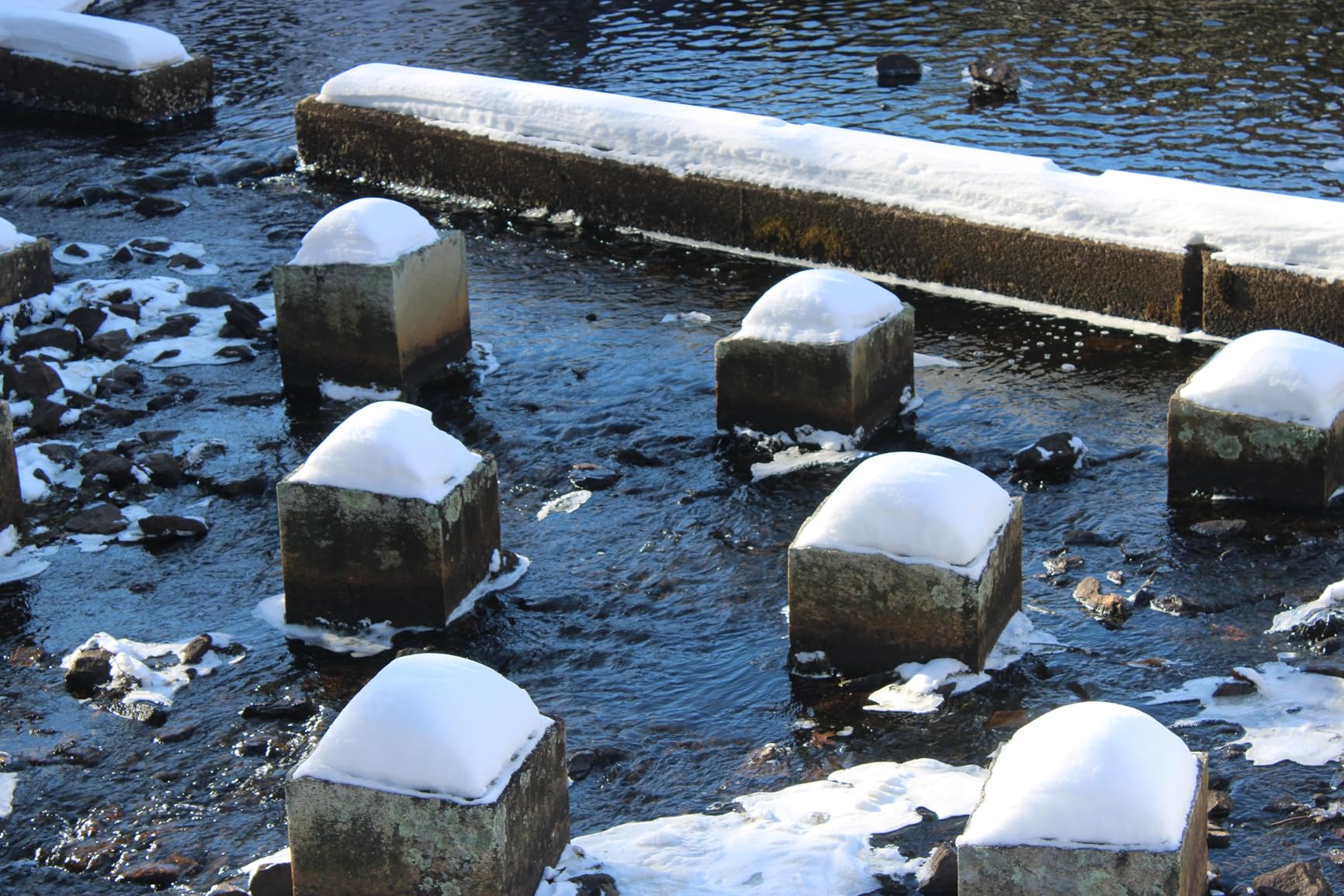 Canon EOS 2000D / Rebel T7 DSLR Camera with EF-S 18-55mm Lens + SanDisk 32GB Card Tripod Case Wideangle Lenses ZeeTech Accessory Bundle (20pc Bundle) (18-55MM, Card) Black (Renewed) customer photo 1