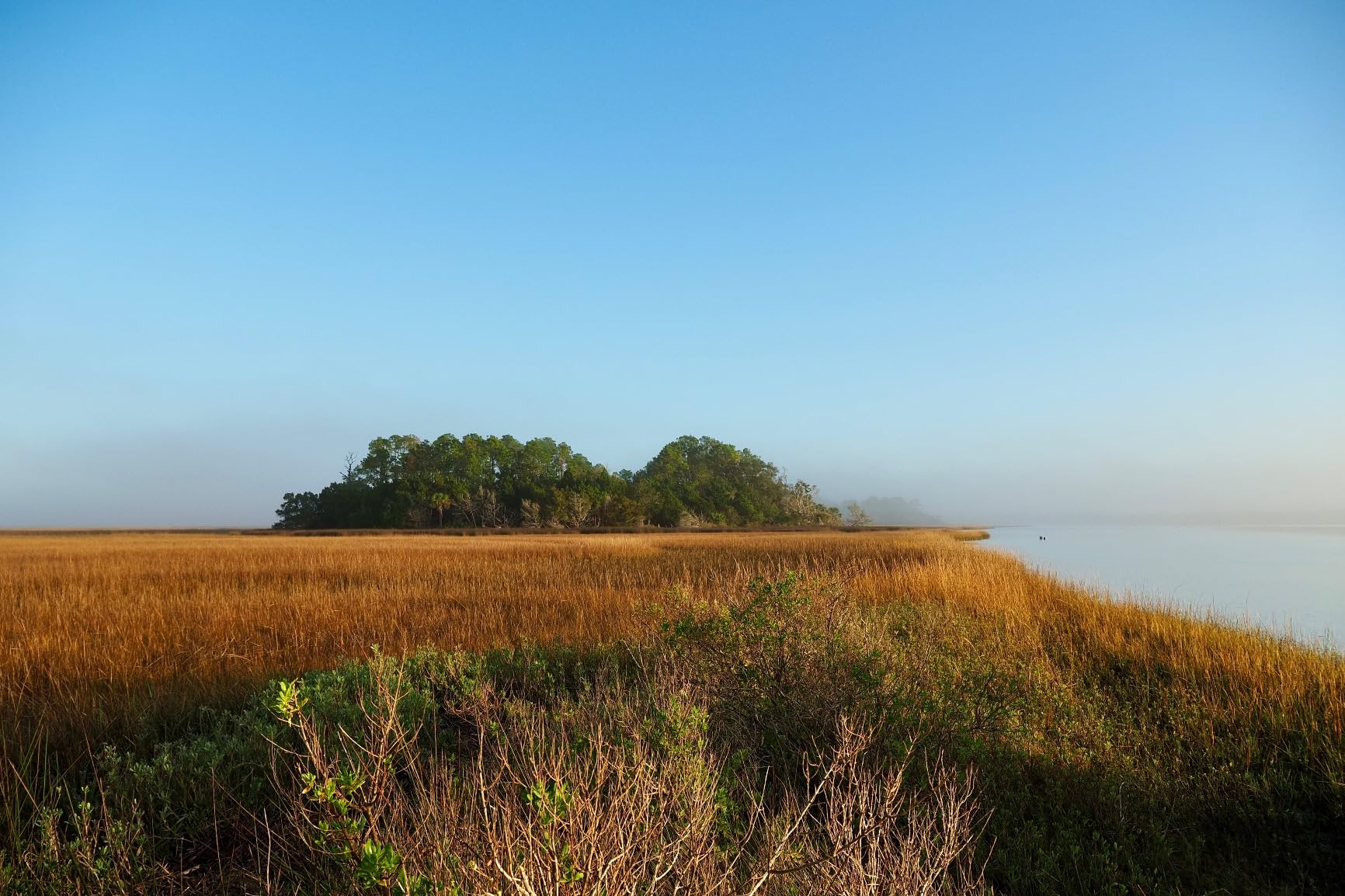 Olympus OM-5 Black Micro Four Thirds System Camera Outdoor Camera Weather Sealed Design 5-Axis Image Stabilization 50MP Handheld High Res Shot customer photo 2