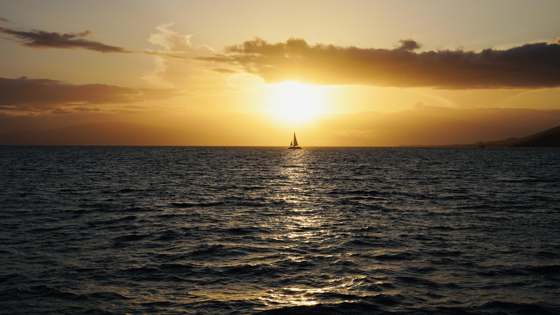 Tamron 20-40mm f/2.8 Di III VXD Lens for Sony E-Mount Full Frame Mirrorless Cameras customer photo 1