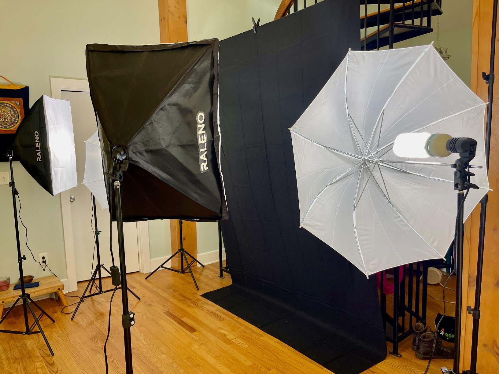 RALENO Photography Lighting Kit, 8.5x10ft Photo Backdrops Stands with 6x9ft Green Screen, 50W LED Bulbs, 5500 K, 97CRI, Umbrellas&Softbox Lighting kit for Studio Portrait Product Photography customer photo 1
