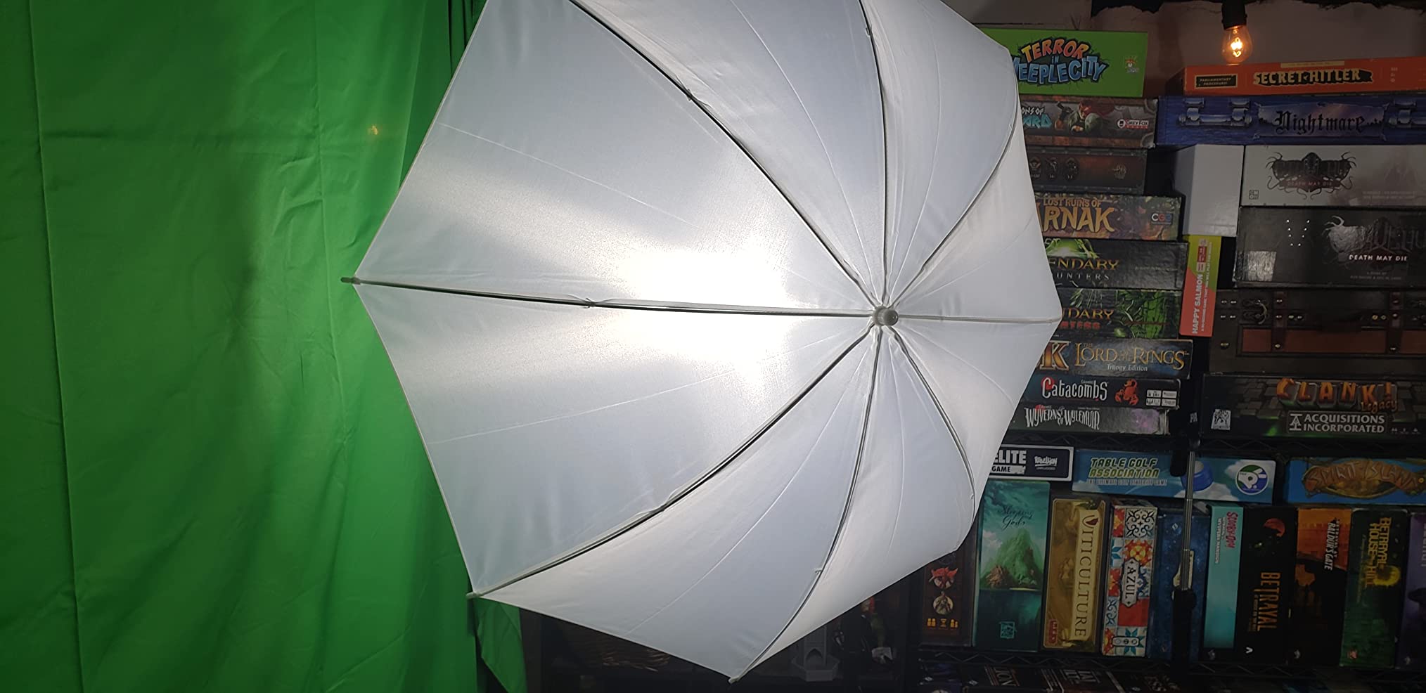 RALENO Photography Lighting Kit, 8.5x10ft Photo Backdrops Stands with 6x9ft Green Screen, 50W LED Bulbs, 5500 K, 97CRI, Umbrellas&Softbox Lighting kit for Studio Portrait Product Photography customer photo 2