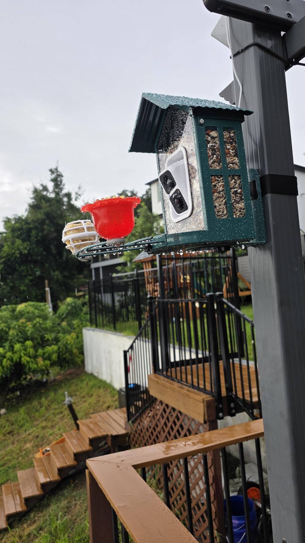 Soliom Bird Feeder with Camera, 5W Solar Powered, AI Identify Species, Smart Wild Bird Watching, 2K Live View, Instant Arrival Alerts,Large 2.7L Seed Capacity, Metal Squirrel Chew-Proof - BF08 Green customer photo 1