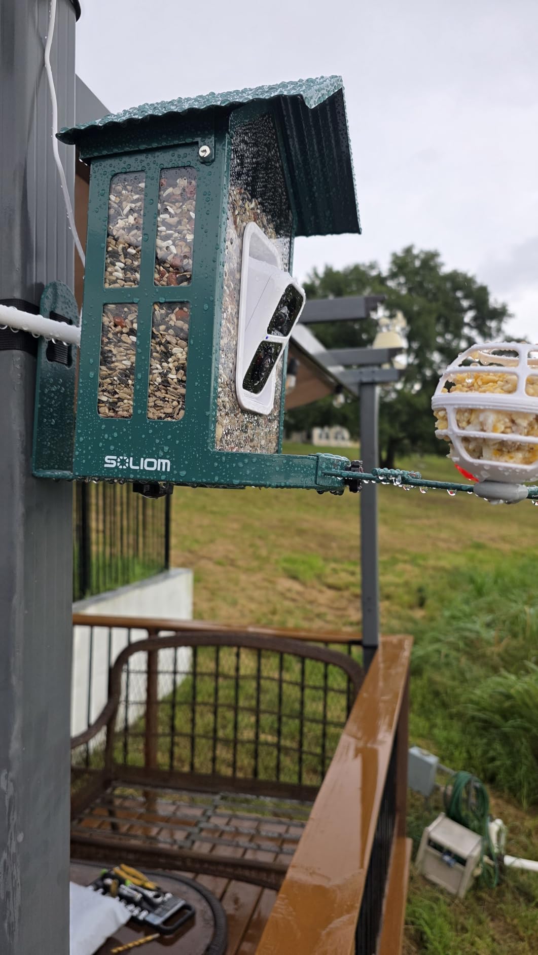 Soliom Bird Feeder with Camera, 5W Solar Powered, AI Identify Species, Smart Wild Bird Watching, 2K Live View, Instant Arrival Alerts,Large 2.7L Seed Capacity, Metal Squirrel Chew-Proof - BF08 Green customer photo 2