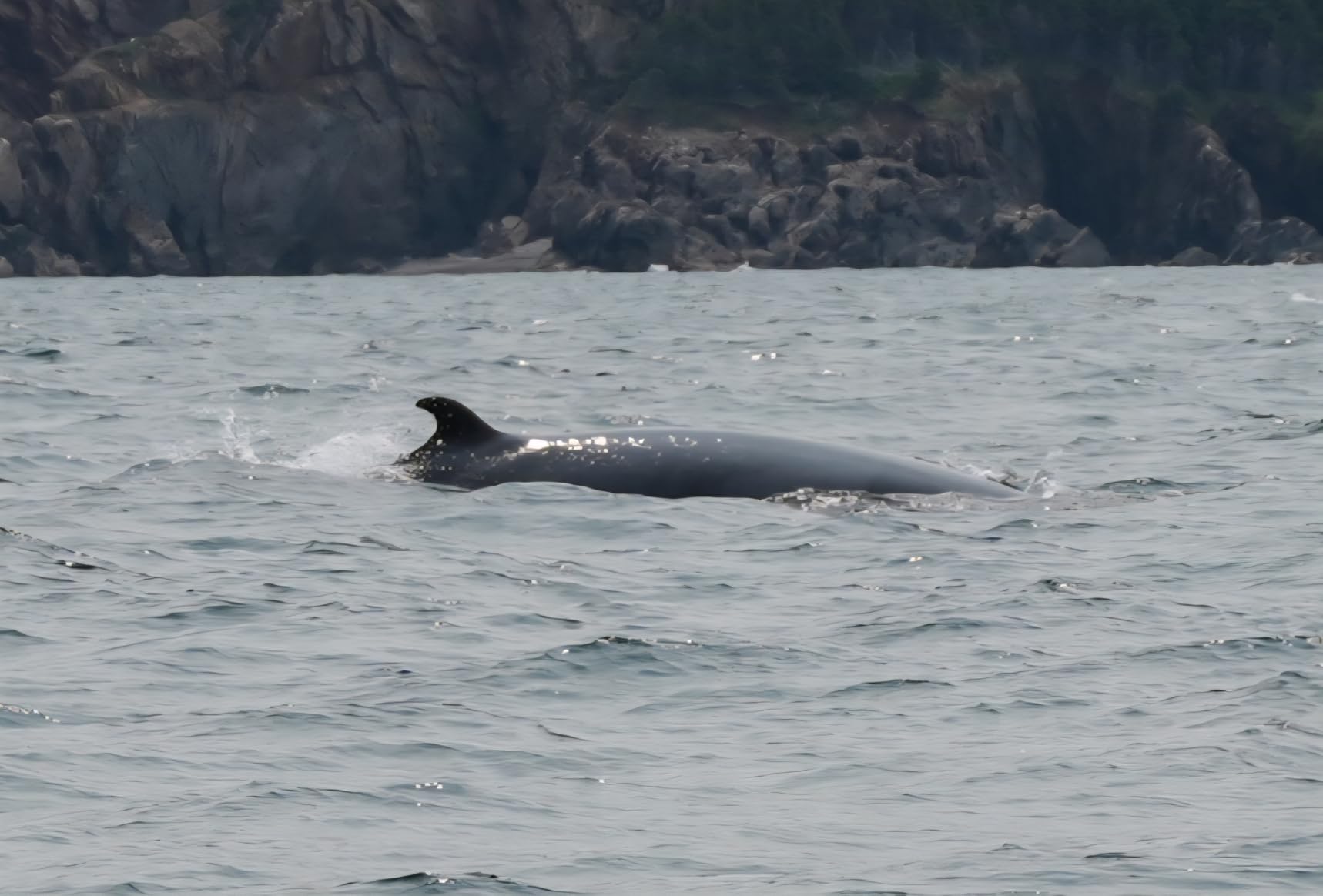 FE 20-70mm f/4 G Lens (Sony E) customer photo 1