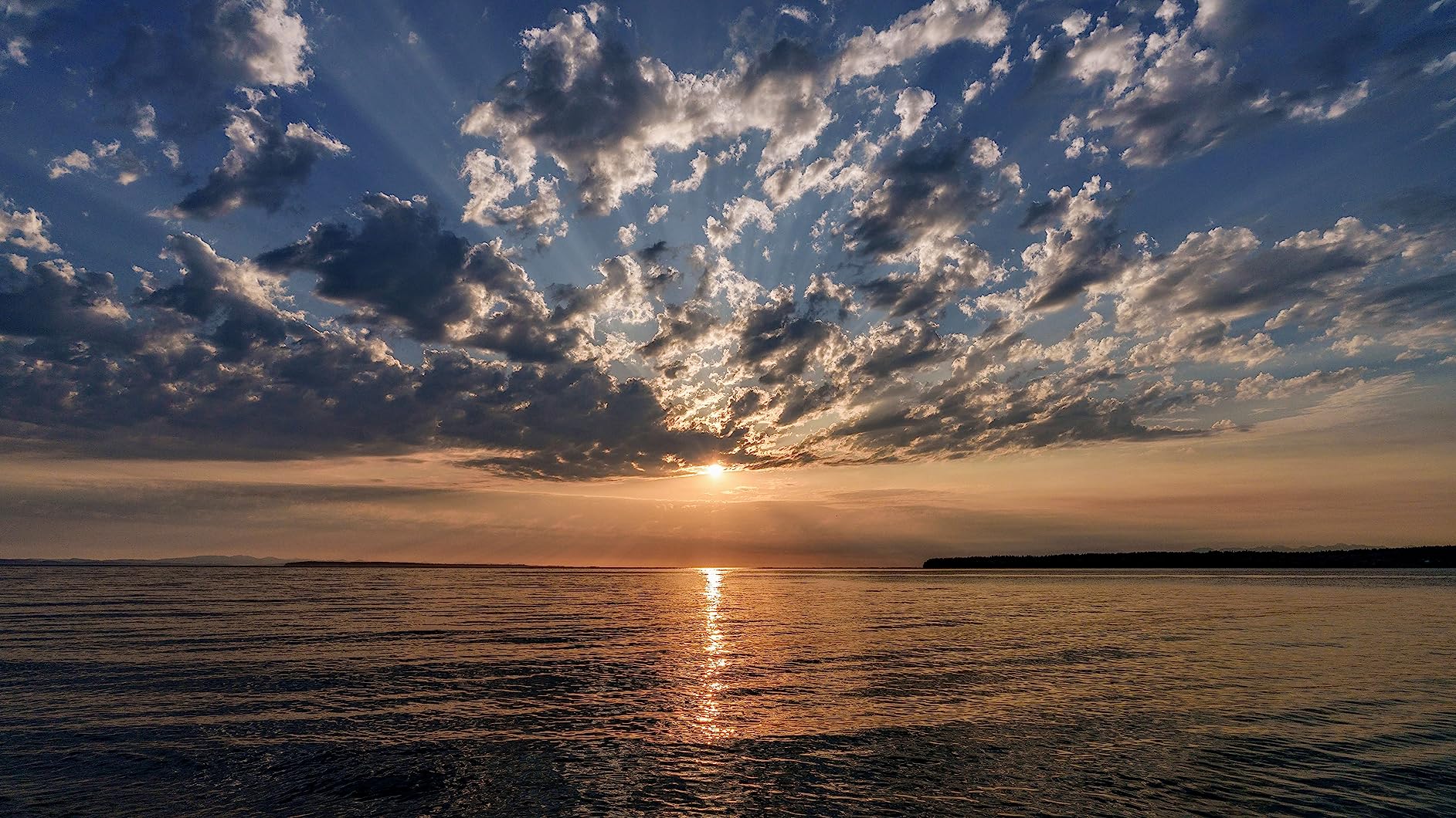 FE 20-70mm f/4 G Lens (Sony E) customer photo 2