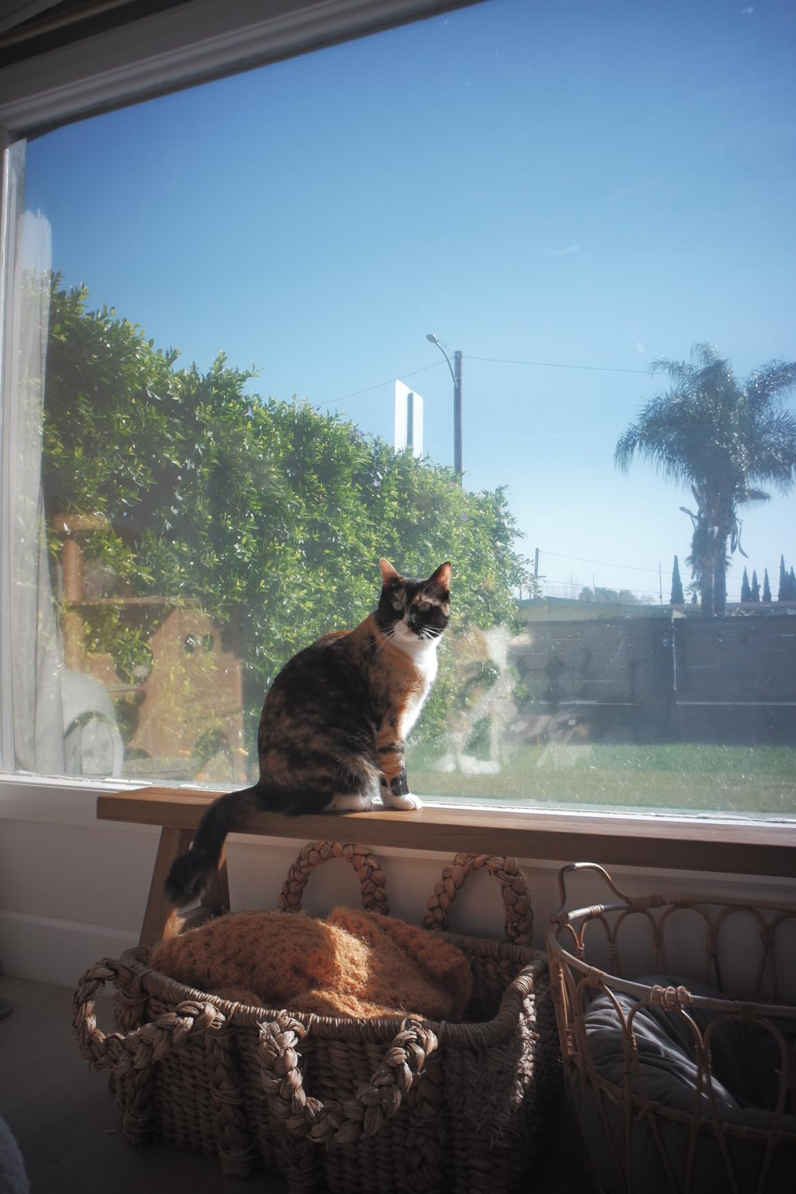 7artisans 18MM F6.3 Mark II UFO Lens for Fuji Mount, APS-C, Prime Lens, Ultra-Thin Compact Mirrorless Cameras for FUJIFILM XM-H/XP/XE/XA/XT/XS Series customer photo 1