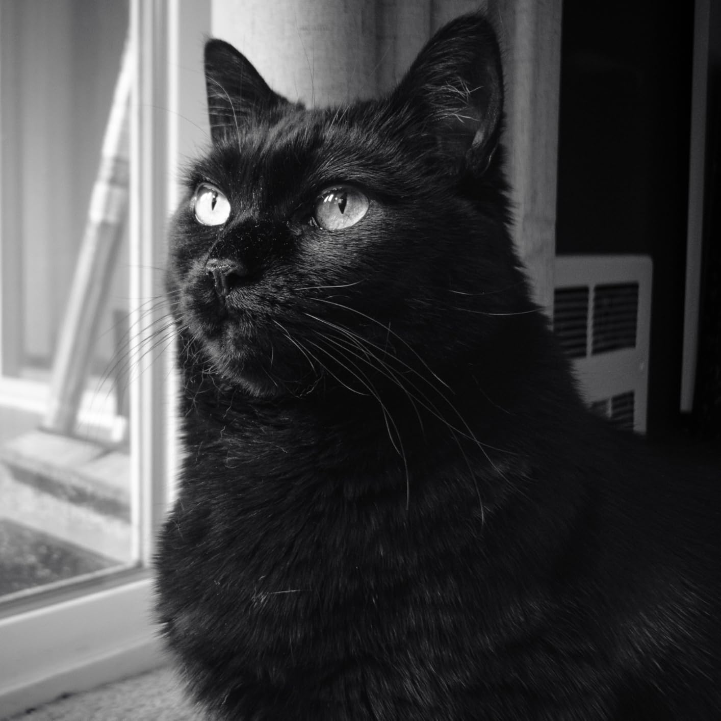 7artisans 18MM F6.3 Mark II UFO Lens for Fuji Mount, APS-C, Prime Lens, Ultra-Thin Compact Mirrorless Cameras for FUJIFILM XM-H/XP/XE/XA/XT/XS Series customer photo 2