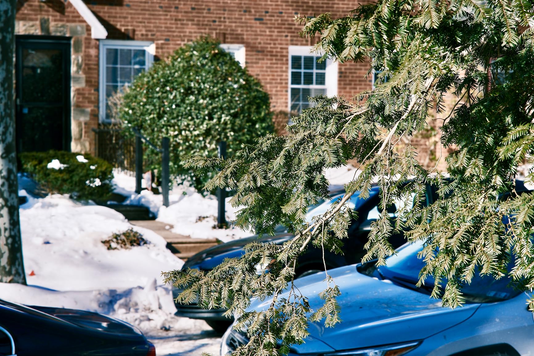 Viltrox AF 75mm f/1.2 XF Fuji X-Mount Lens, APS-C Prime Lens Large Aperture for Fujifilm X Mount Camera X-T5 X-H2 X-H2S X-T30 II X-T4 Black customer photo 1