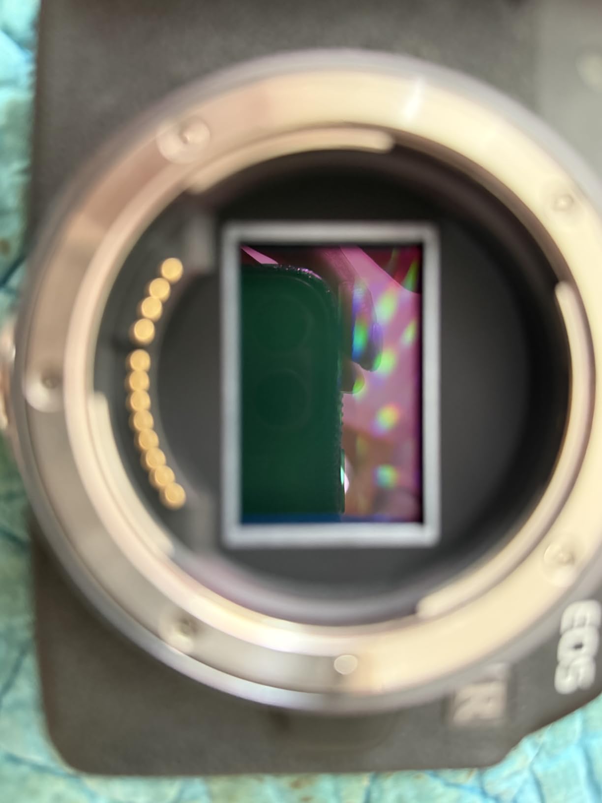 K&F CONCEPT 24mm Full Frame Sensor Cleaning Swab*10 + 20ml Sensor Cleaner, DSLR SLR Digital Camera CMOS and CCD Sensor Cleaning Swab Kits for Nikon Sony Canon Camera Clean customer photo 2