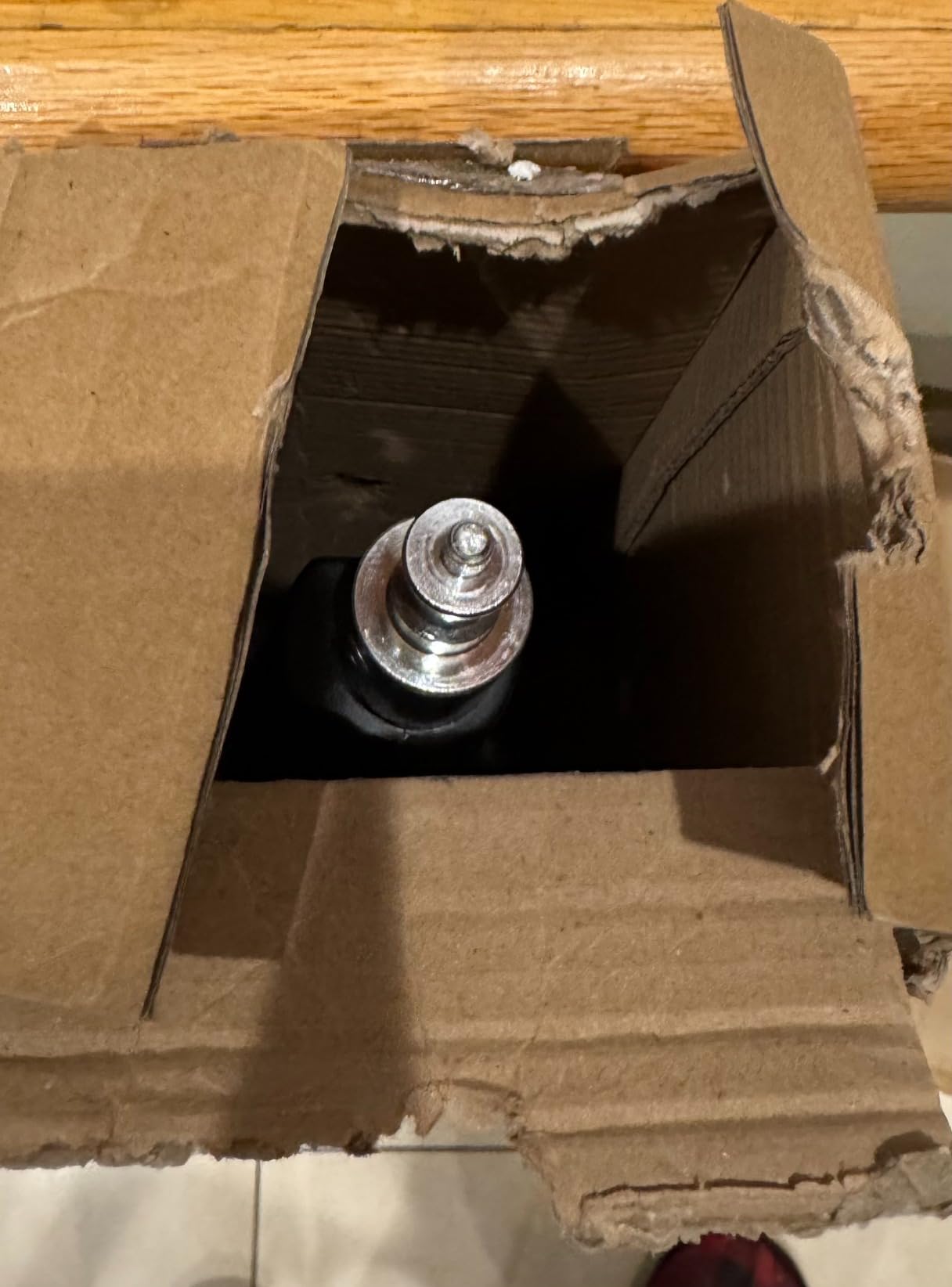 Godox MS300V Studio Flash Kit (2X 300W) with 2 Softboxes, 2 Light Stands, 2 Reflectors, LED Modeling Lamps, 2.4G Wireless X System, Bowens Mount - Ideal for Studio, Portrait & Fashion Photography customer photo 1