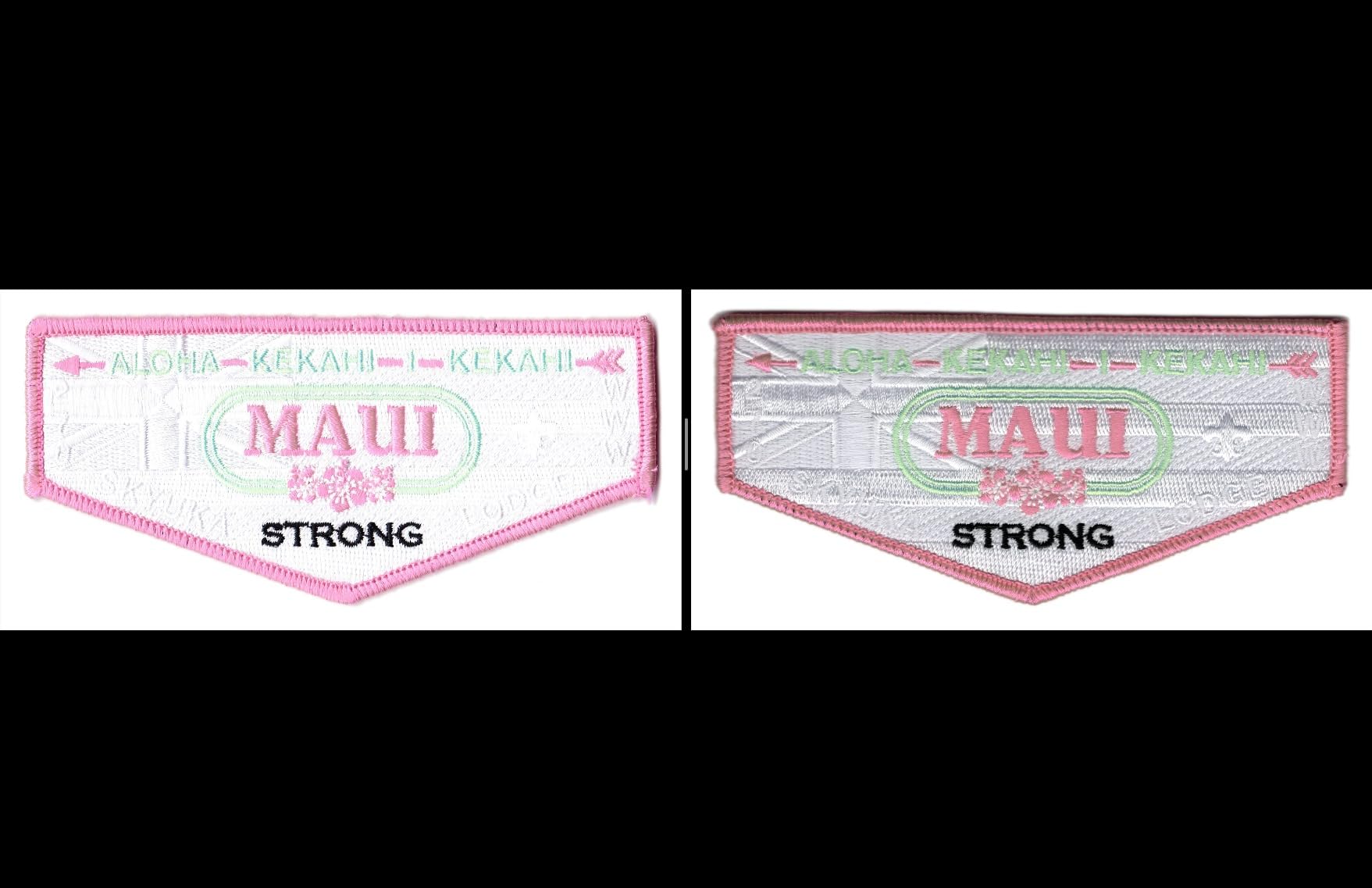 Epson Perfection V19 II Color Photo and Document Flatbed Scanner with 4800 dpi Optical Resolution USB Power, High-Rise, Removable Lid customer photo 2