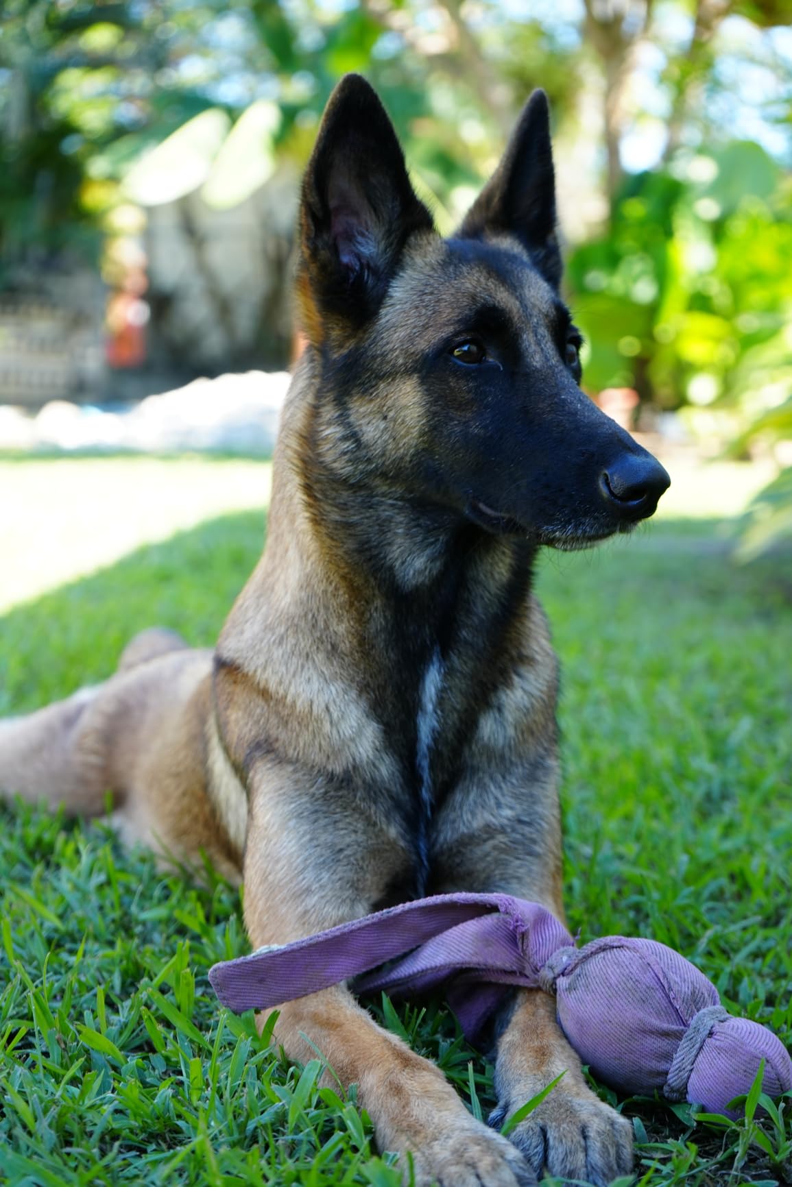 Sony a7 IV Mirrorless Digital Camera 33MP w/ 28-70mm Lens ILCE-7M4K/B - Deluxe Bundle with 128GB Memory, Wide & 2X Lenses, Case, Tripod, Filters, Hood, Spare Battery & Charger, Software Kit customer photo 1