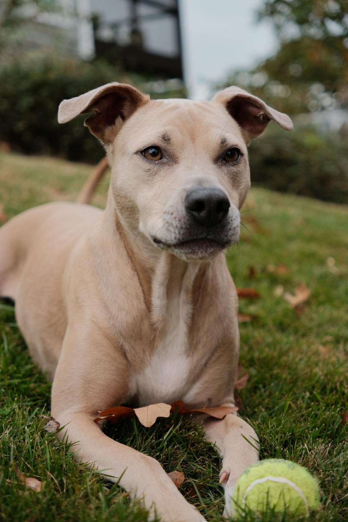 Fujifilm X-S20 Mirrorless Digital Camera XC15-45mm Lens Kit customer photo 1