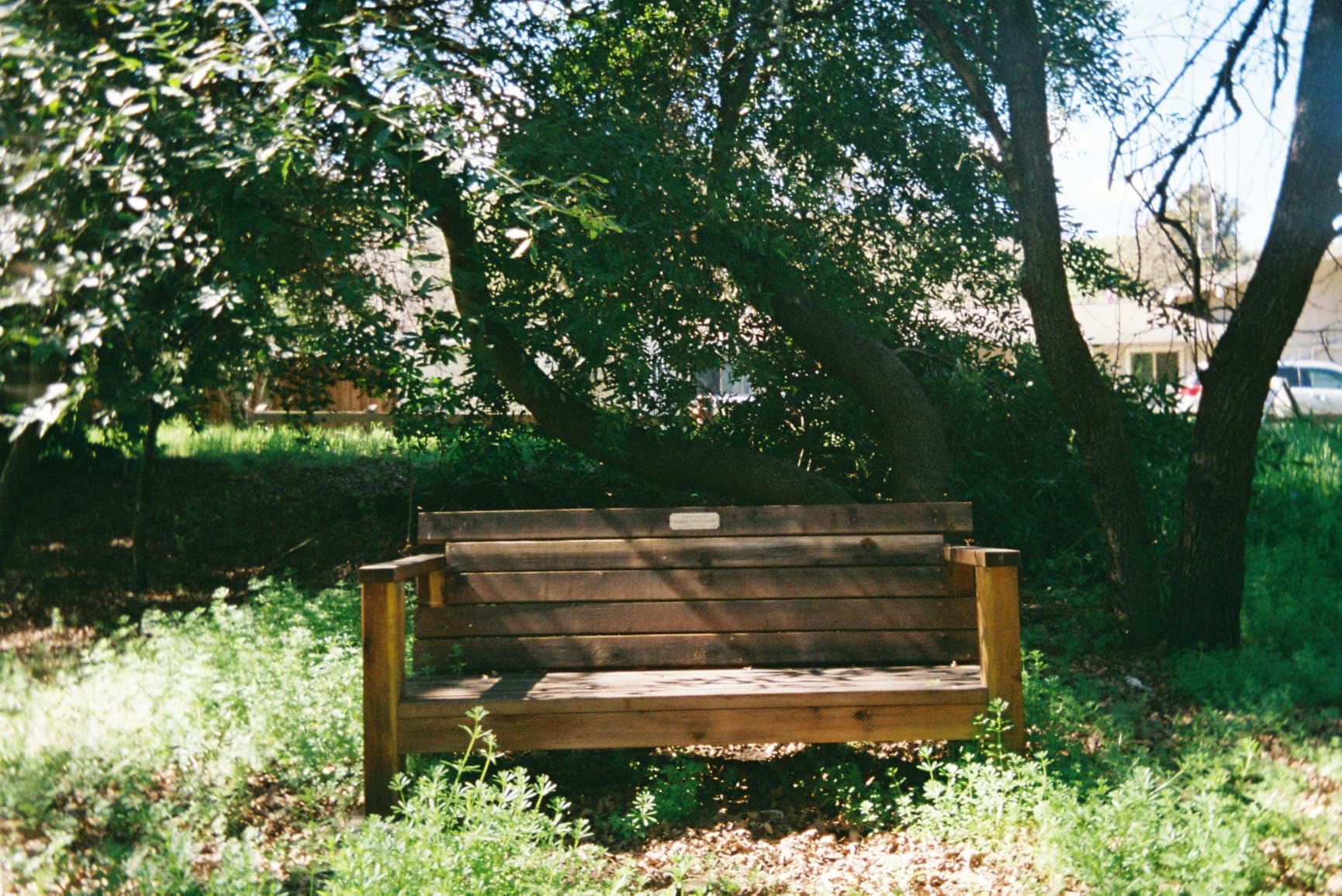 Kodak EKTAR H35N Half Frame Film Camera, 35mm, Reusable, Focus-Free, Bulb Function, Built-in Star Filter, Coated Improved Lens (Film & AAA Battery are not Included) (Glazed Blue) customer photo 2