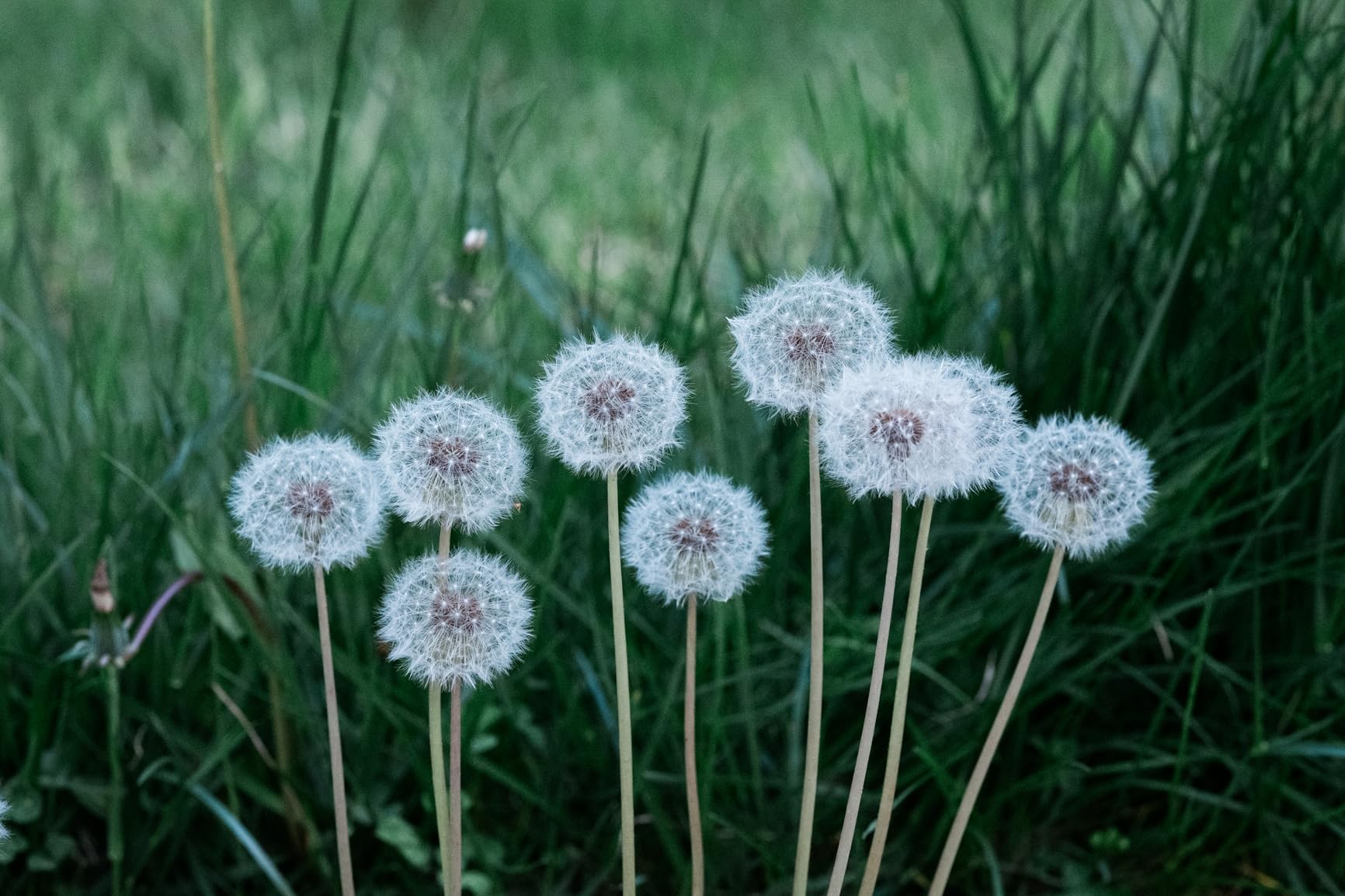 Viltrox PRO 27mm F1.2 XF Fuji for Fujifilm X Mount, 27mm f/1.2 X Lens for Fujifilm XH2S XH2 XT5 XT4 XT3 XS20 XT30 II XT200 customer photo 2