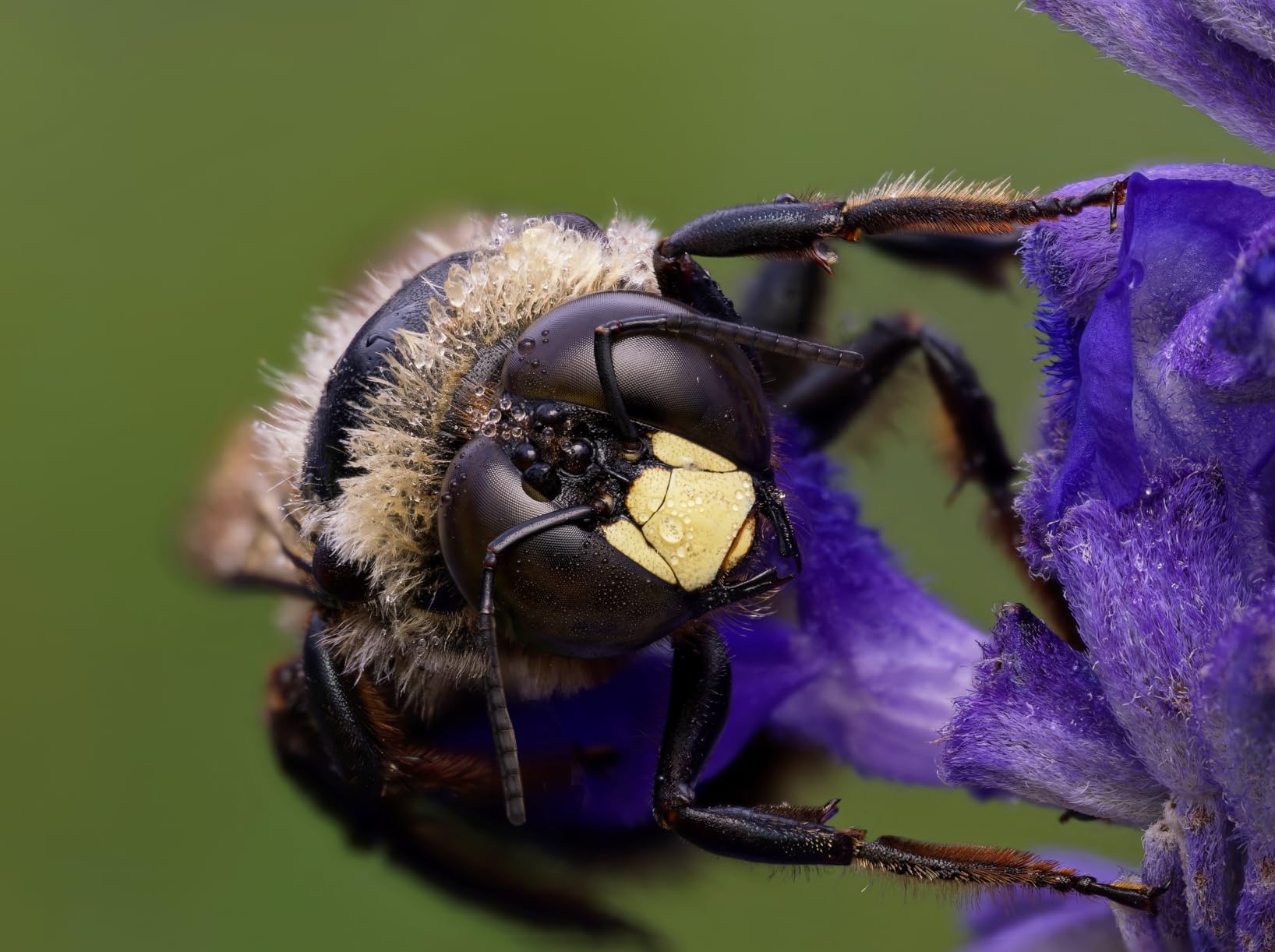 OM System OLYMPUS Tough TG-7 Red Underwater Camera, Waterproof, Freeze Proof, High Resolution Bright, 4K Video 44x Macro Shooting (Successor Olympus TG-6) customer photo 2