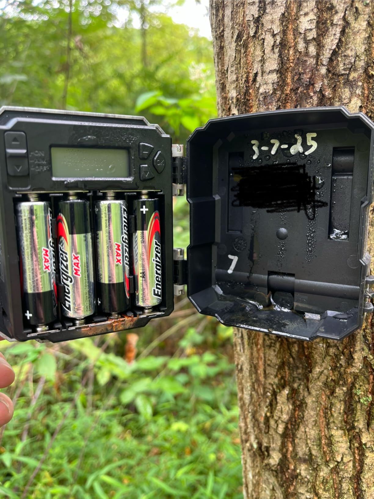 Mini Trail Camera 4 Pack 24MP 1080P HD, Game Cam with SD Card, Waterproof Tiny Deer Camera Night Vision Motion Activated with Fast Trigger Time for Outdoor Wildlife Monitoring customer photo 1