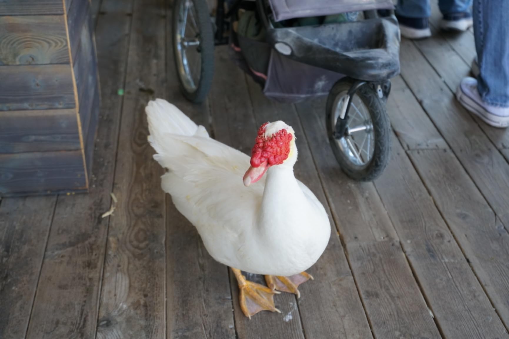 17-50mm F/4 Di III VXD for Sony E-Mount Full Frame Mirrorless Cameras customer photo 1