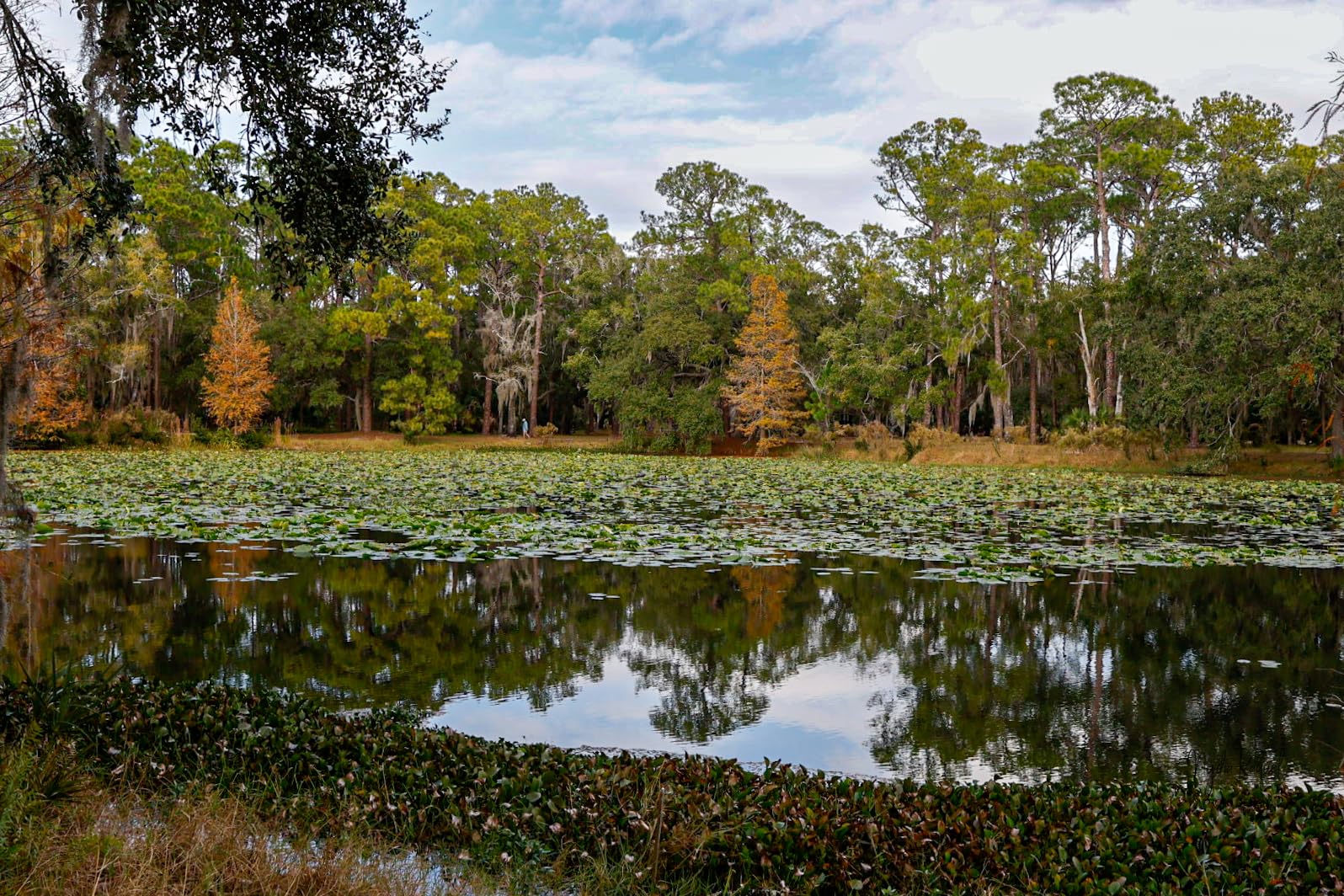 RF 24-105mm F2.8 L is USM Z Standard Zoom Lens, Full-Frame Mirrorless, Image Stabilization, Close Focusing, Ideal for Events, Portraits, Studio, and Video, Black customer photo 2