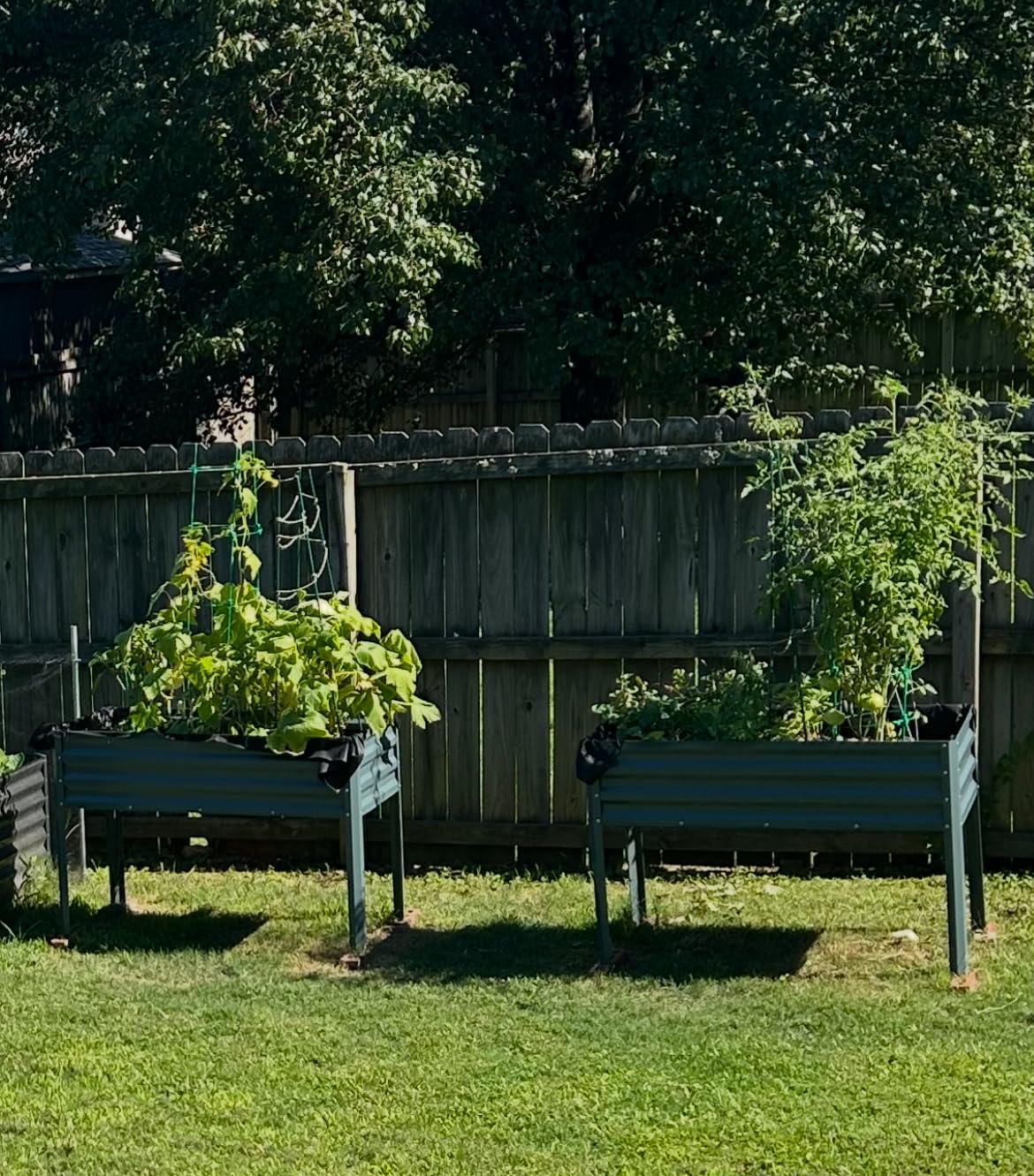 KING BIRD Large Raised Garden Bed with Legs Galvanized Elevated Planter Box 48x24x32 in for Backyard, Patio, Balcony, 400lb Capacity, Dark Grey customer photo 1