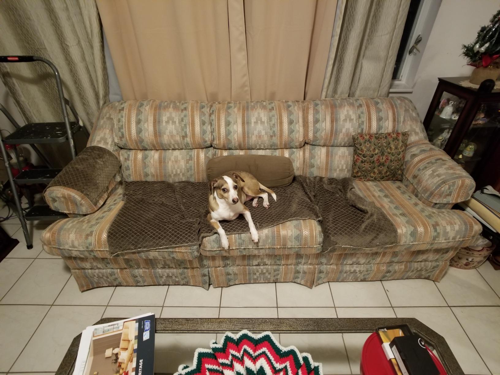 Moment 18mm Wide Lens for iPhone - T-Series Mobile Lens for Ultra-Wide Photos & Videos customer photo 2