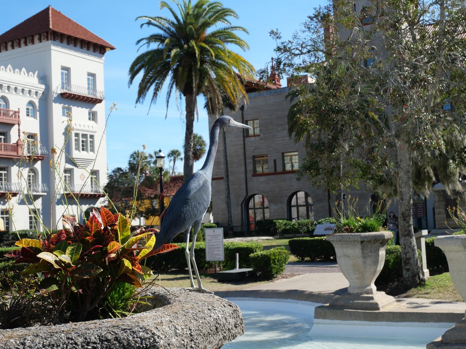 Panasonic LUMIX G100 4k Mirrorless Camera for Photo and Video, Built-in Microphone with Tracking, Micro Four Thirds Interchangeable Lens System, 12-32mm Lens, 5-Axis Hybrid I.S. customer photo 1