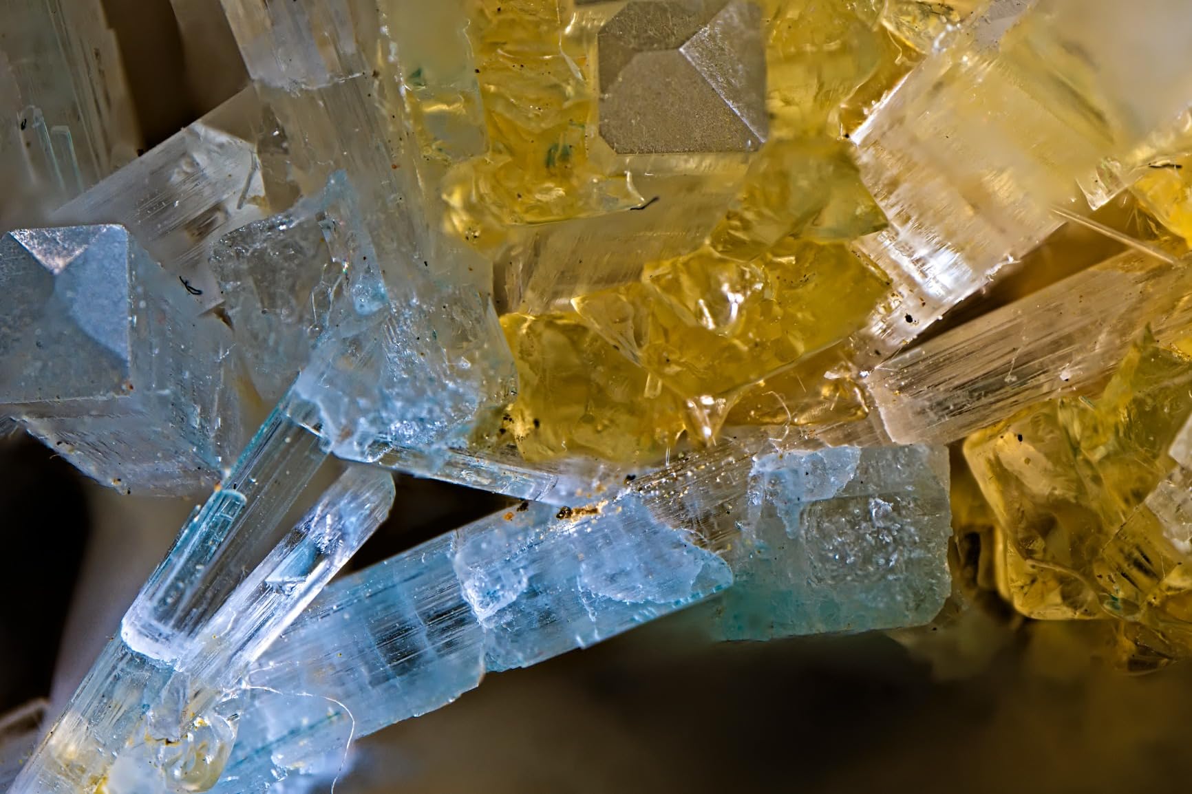 AstrHori 25mm F2.8 2X-5X Ultra Macro Lens Full Frame Manual Focus Compatible with Canon RF Mount mirrorless Cameras EOSR, RP,R5,R5C,R6,R7,R10,etc. customer photo 1