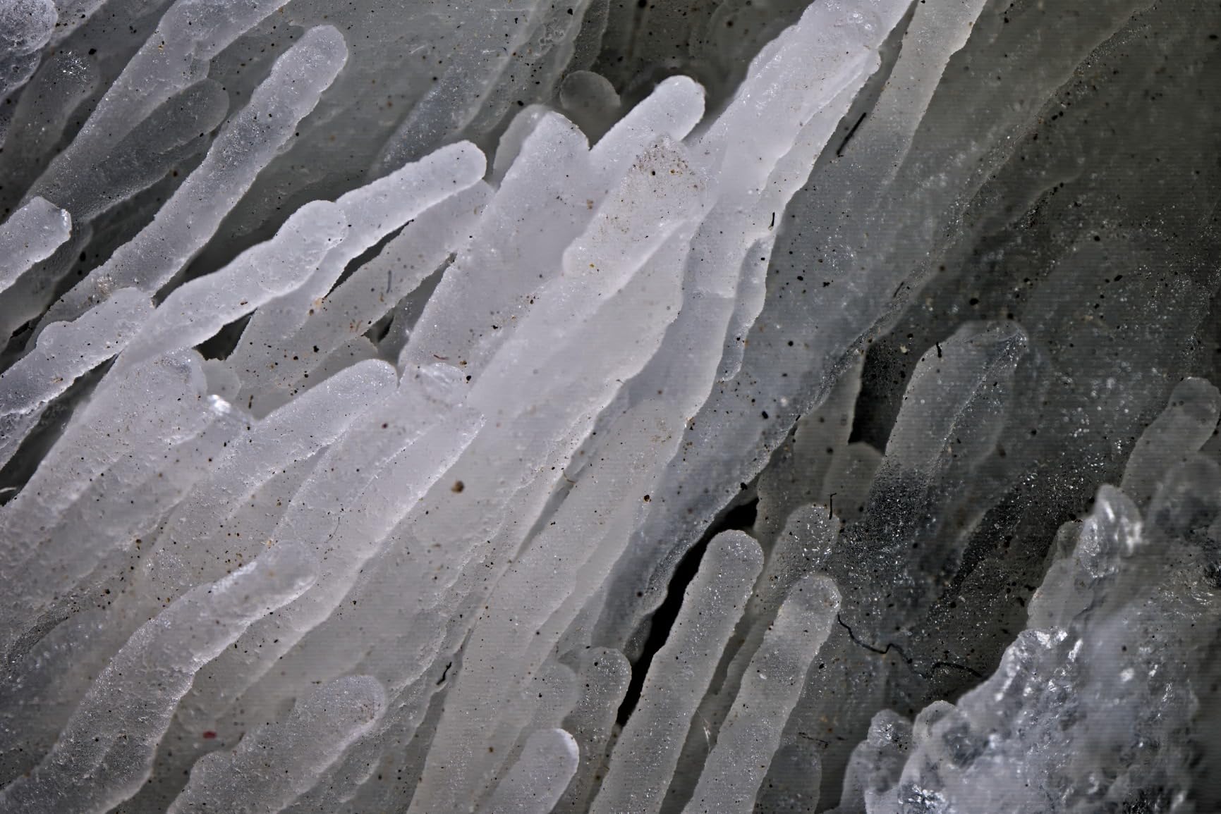 AstrHori 25mm F2.8 2X-5X Ultra Macro Lens Full Frame Manual Focus Compatible with Canon RF Mount mirrorless Cameras EOSR, RP,R5,R5C,R6,R7,R10,etc. customer photo 2