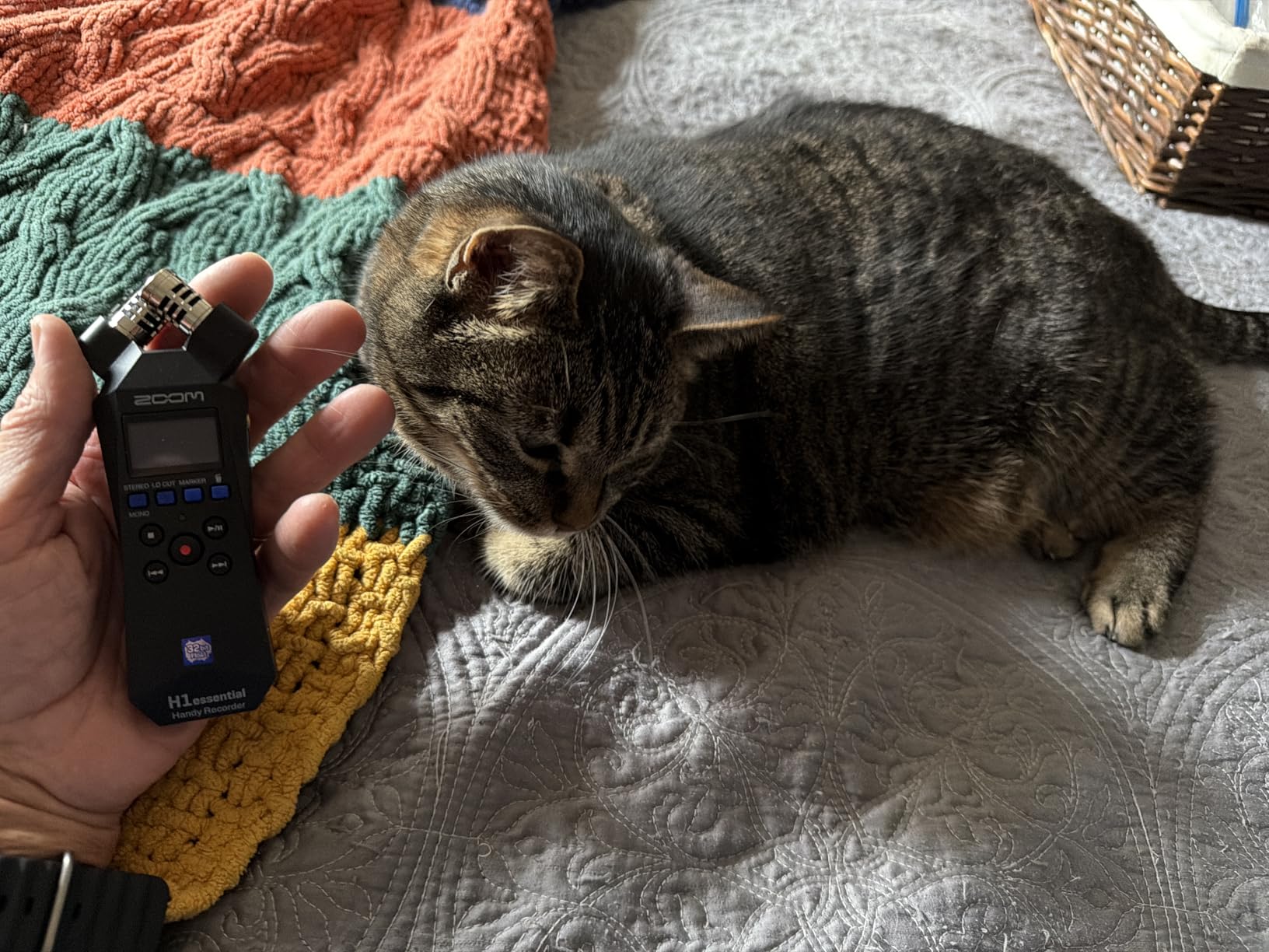 Zoom H1 Essential Handheld Recorder for Musicians, Podcasters & Filmmakers with Stereo Microphones, 32-Bit Float, USB Microphone Mode customer photo 1