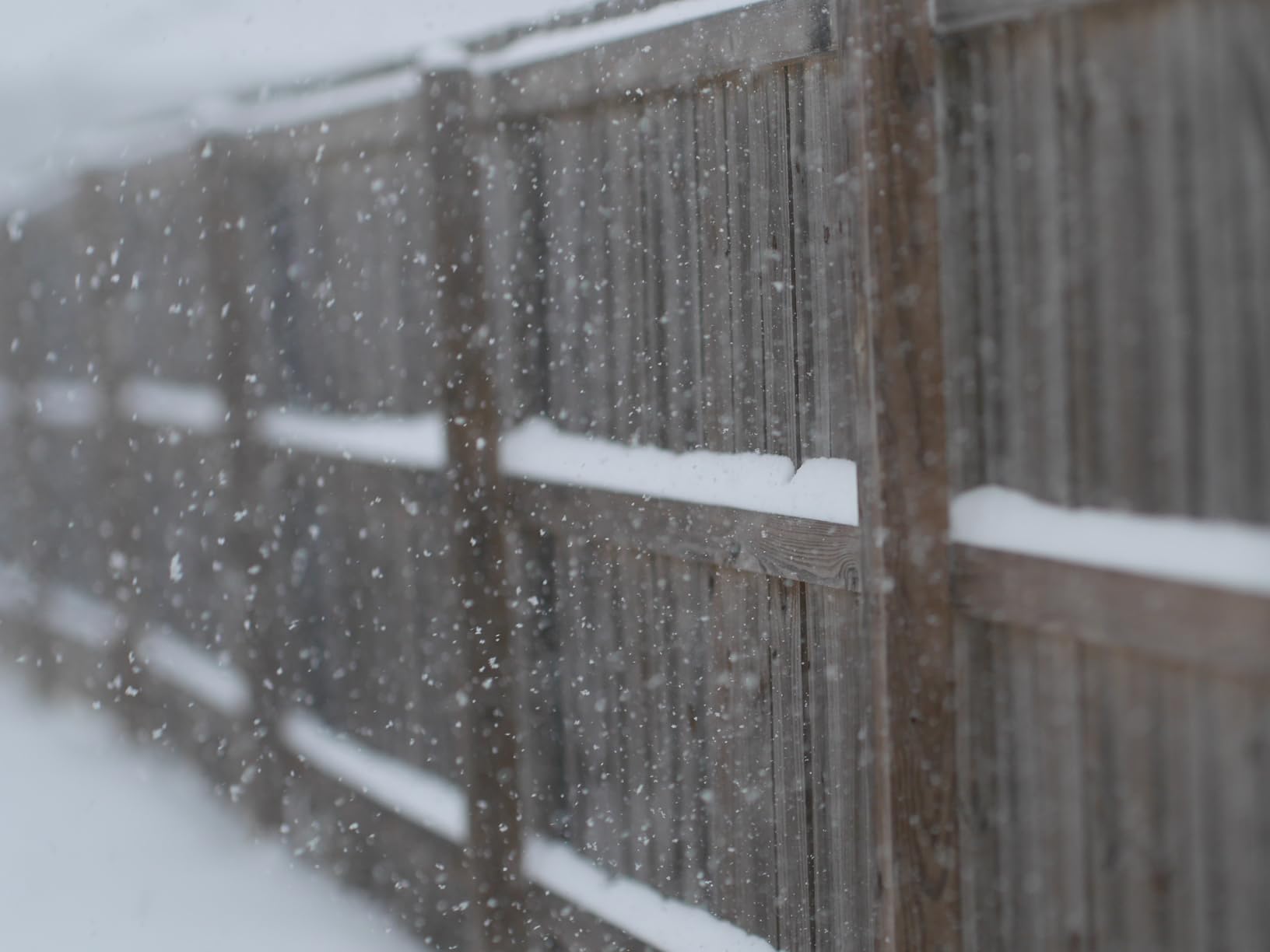 7artisans 50mm F1.4 APS-C Frame Tilt-Shift Lens with 2-in-1 Compatible for Fujifilm FX-Mount Mirrorless Cameras X-A1 X-A10 X-A2 X-A3 A-at X-M1 XM2 X-T1 X-T10 X-T2 X-T20 X-Pro1 X-Pro2 X-E1 X-E2 E-E2s customer photo 1