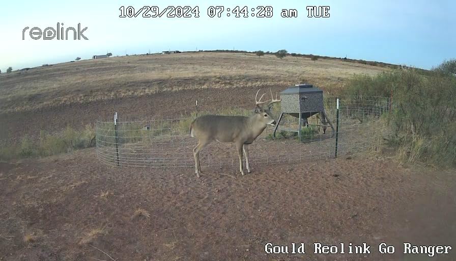 REOLINK 4K Dual Lens 4G LTE Cellular Security Camera, SIM Card Included, Wireless Auto Tracking Trail Camera, 6X Hybrid Zoom, No-Glow IR, Waterproof for Wildlife, TrackMix LTE Trail + Solar Panel 2 customer photo 1