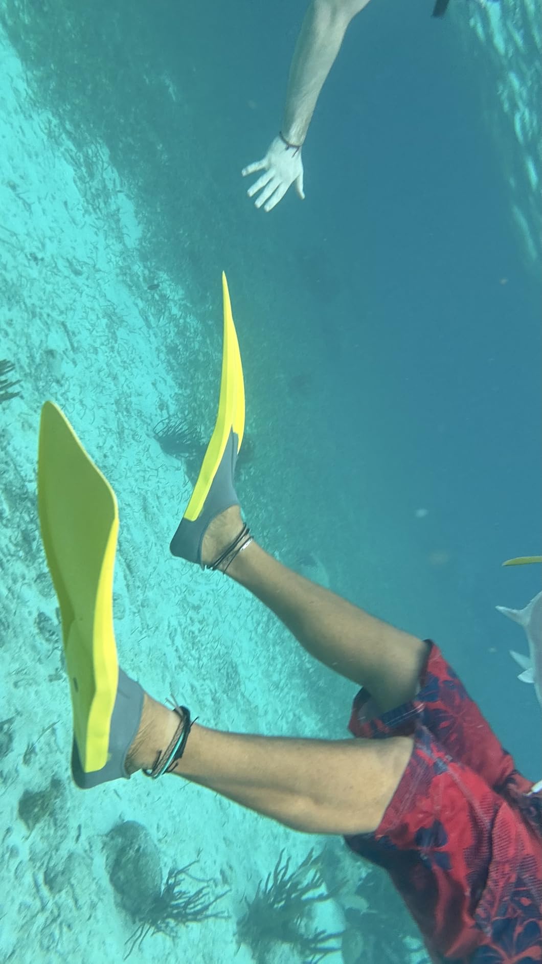 2026 Underwater Snorkeling Diving Phone Case for iPhone 17/16/15/14/13/ Pro Max/XR/XS/X Galaxy S24/S23/S22.[50ft/15m] Professional Scuba Dive Waterproof Case Underwater Photo Video Blue customer photo 2