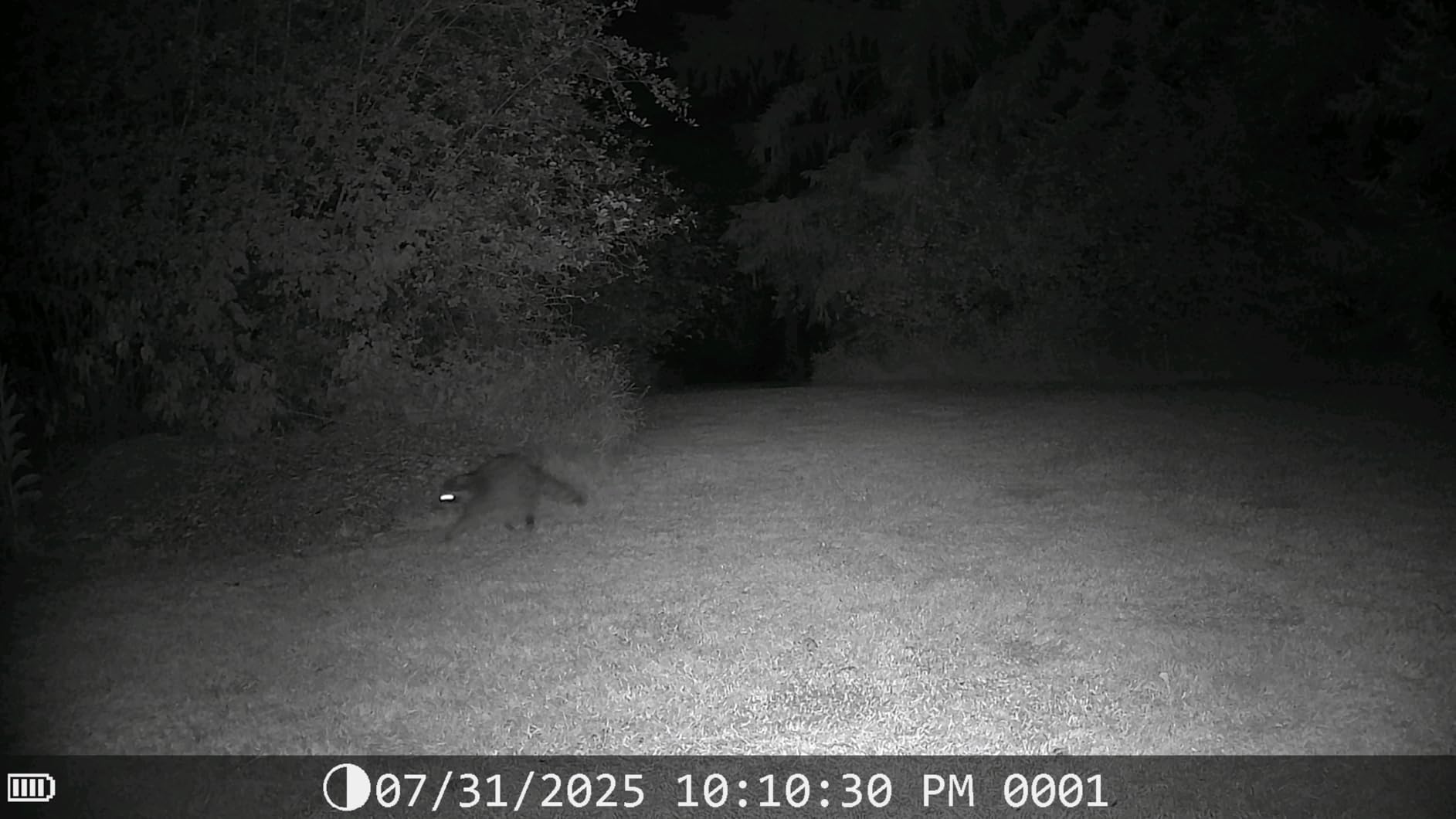 DEATTI Trail Camera 48MP 4K Game Camera with 8 Batteries 32GB SD Card, WiFi Bluetooth Connection, Trail Cameras with Night Vision Motion Activated Waterproof customer photo 2