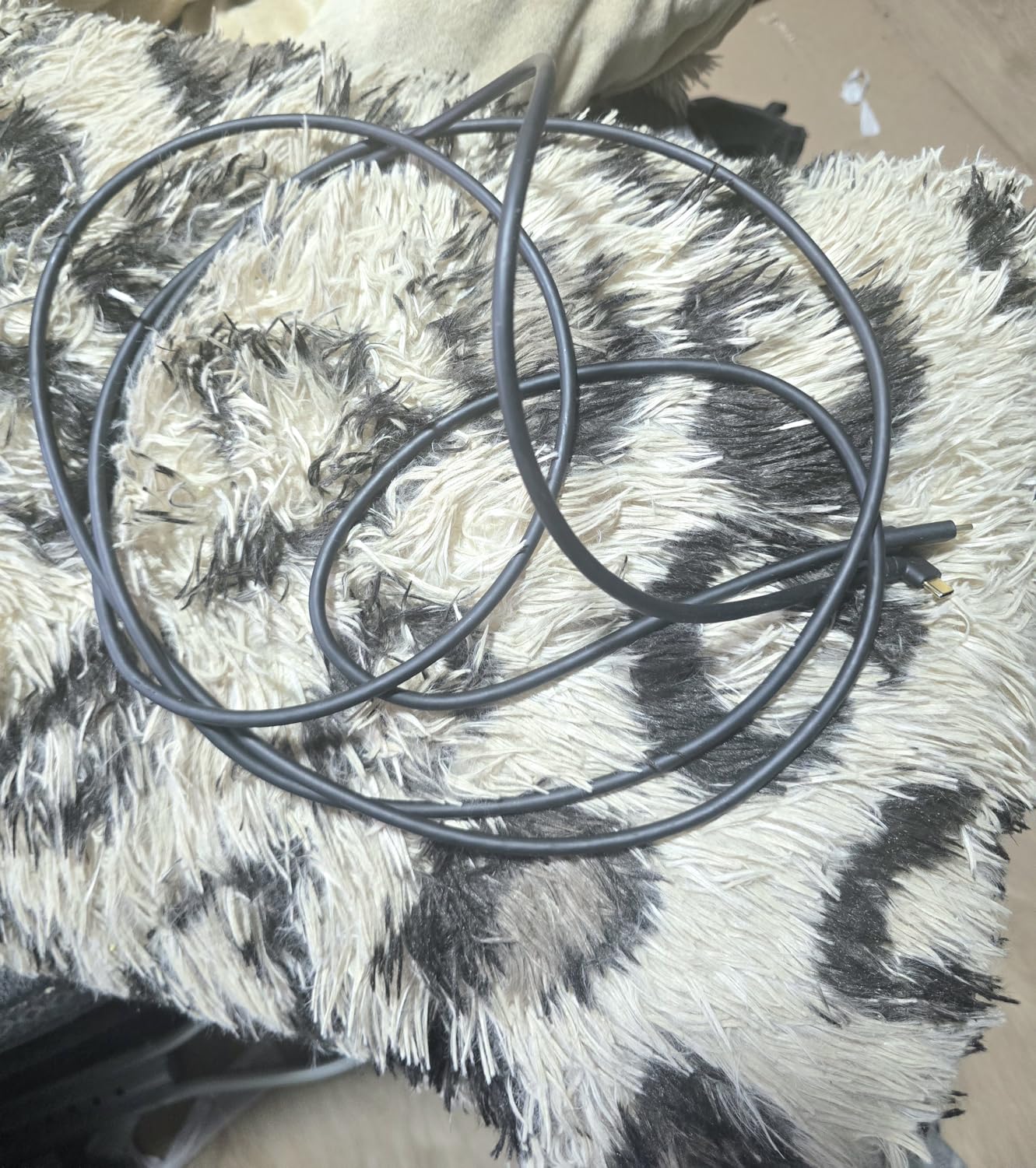 16ft USB-C to USB-C Camera Tethering Cable - Fast Type-C Data Transfer Cable for DSLR Cameras and Computers, Wide Compatibility with Canon EOS R/R5/R6 II, Sony A7M3/A7M4/R4, Nikon Z5/Z6/Z7, FujiXT5 customer photo 2