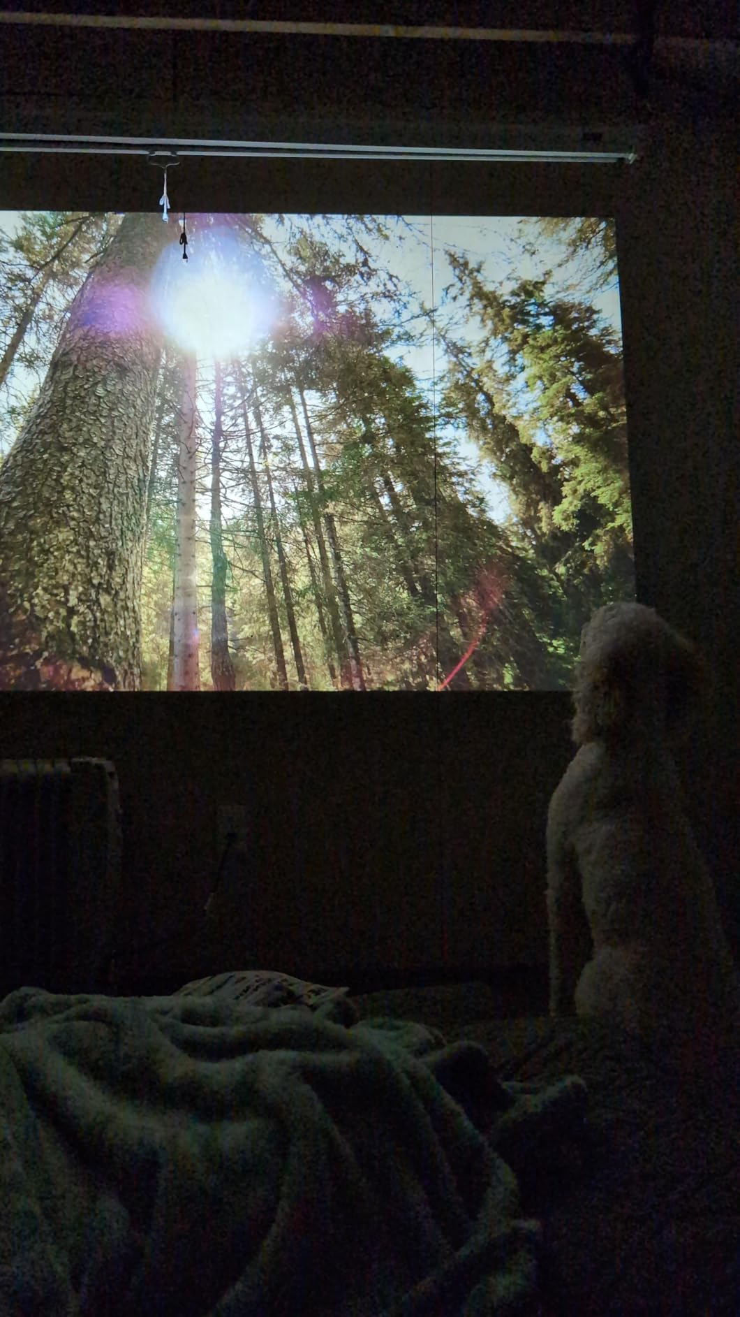 Aurzen EAZZE D1 Smart Projector with WiFi and Bluetooth, Officially-Licensed APP, Auto Focus/Keystone, Dolby Audio 16W Speakers, Native 1080P, HDR10, 4K Support, Portable Mini Outdoor Movie Projector customer photo 2