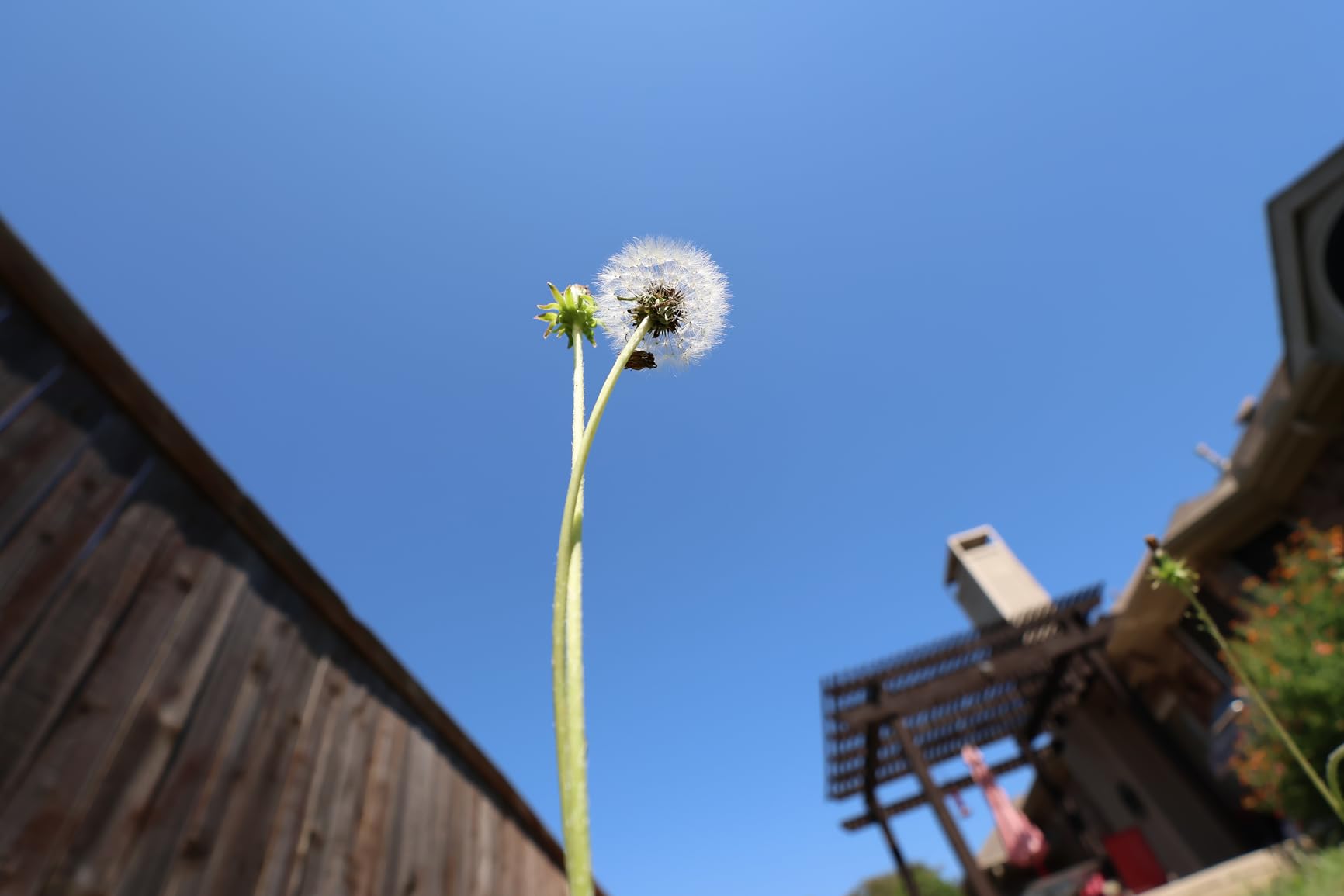 Canon RF-S 10-18mm f/4.5-6.3 is STM Lens | Canon RF with UV Filter & Lens Cap Keeper (3 Items) customer photo 1