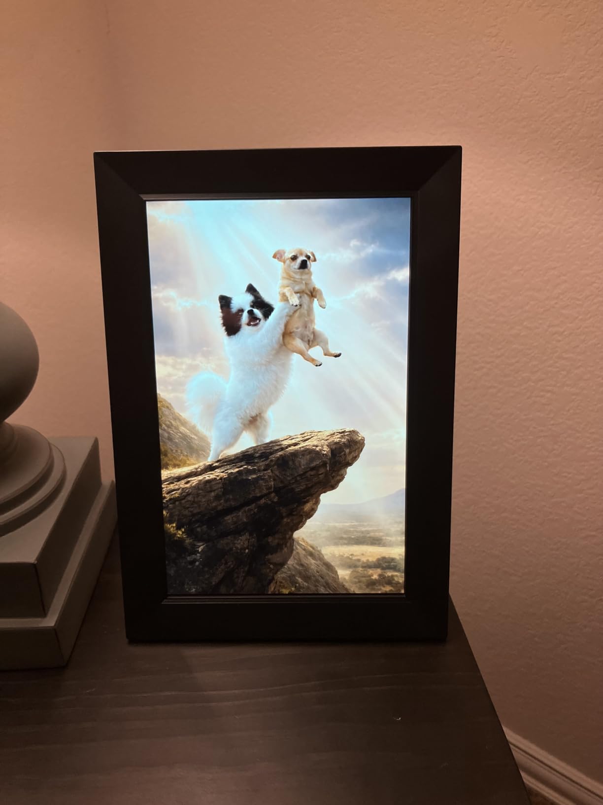 Frameo 10.1 Inch WiFi Digital Picture Frame, Smart Cloud Electronic Photo Frame with HD IPS Touch Screen Slideshow 32GB Memory Auto-Rotate Wall Mount, Share Photos/Videos from Phone - Gifts for Mom customer photo 2