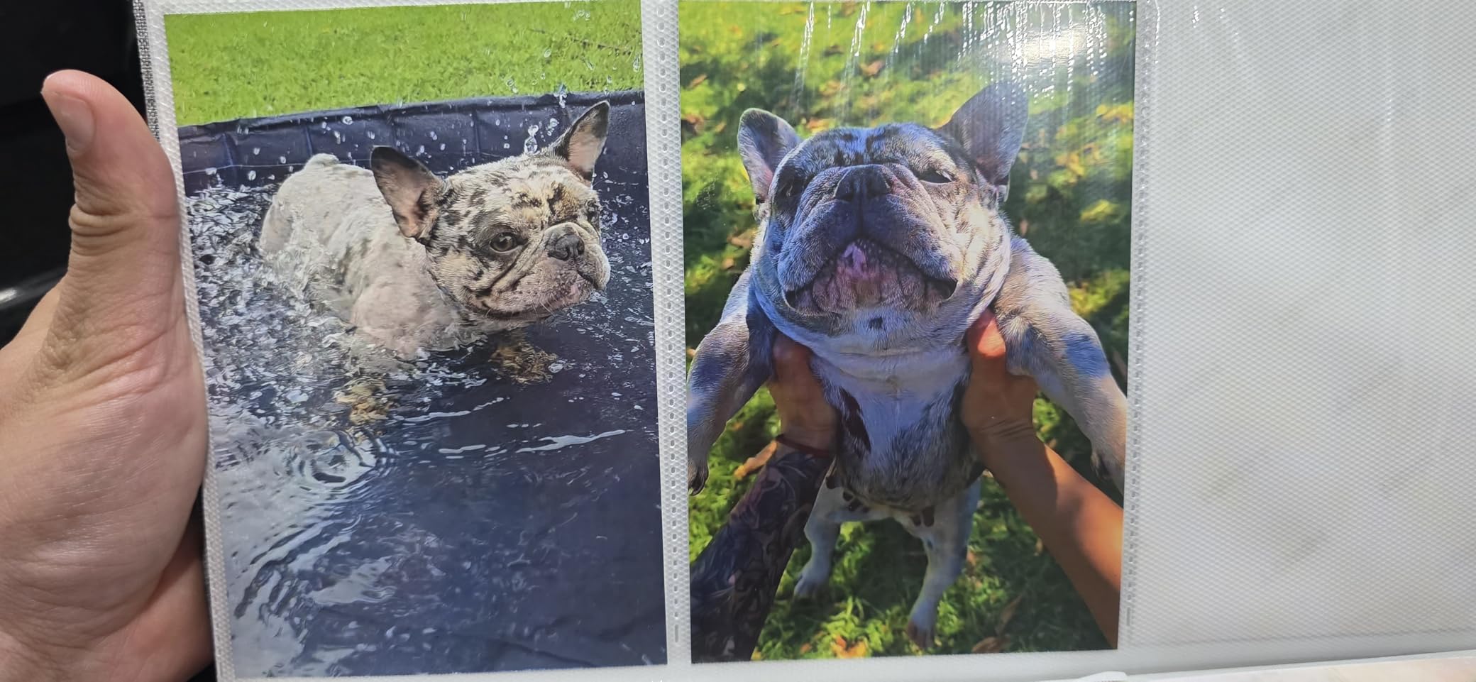 YOTON Photo Printer, Picture Printer with 54 Sheets (4