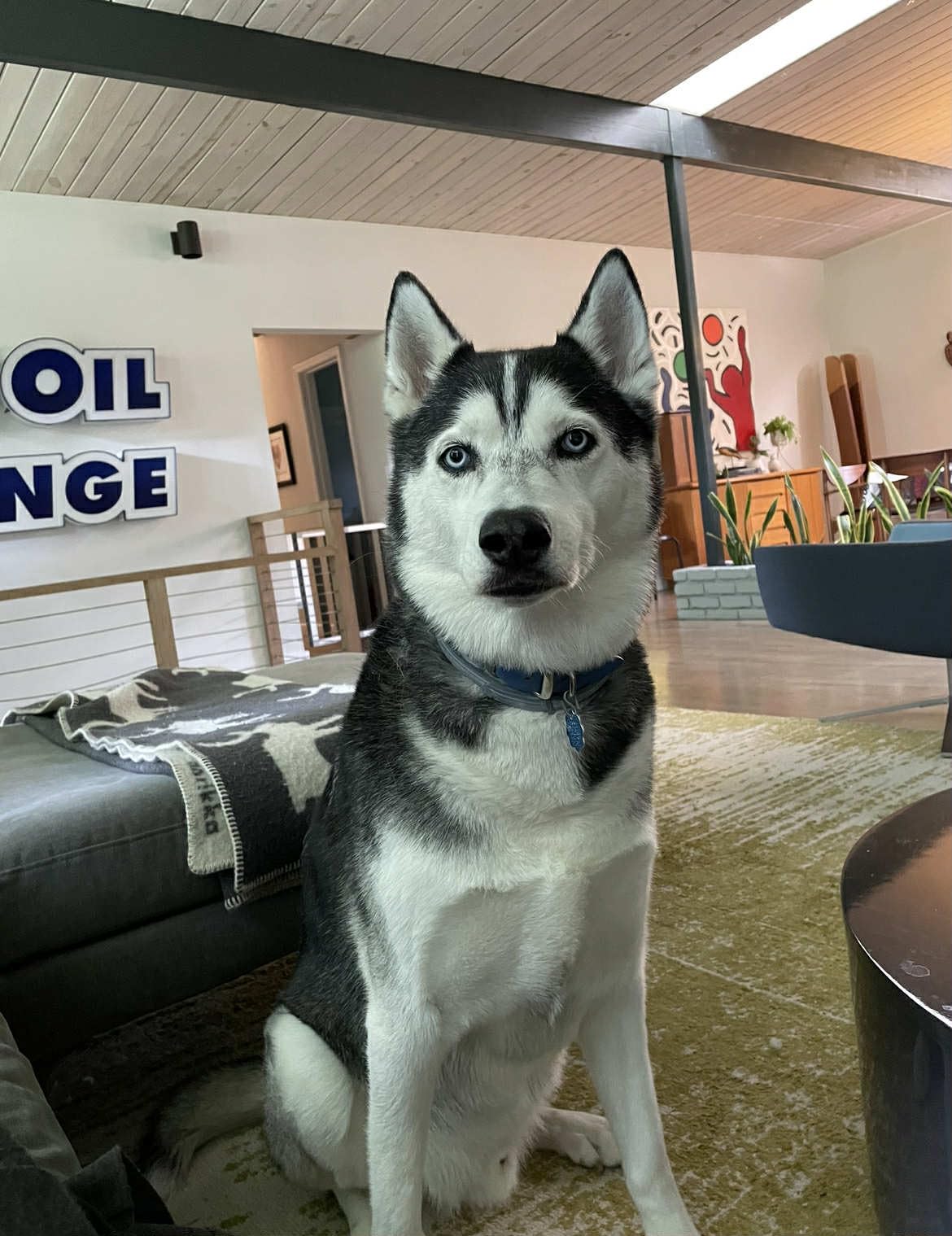 Custom Photo Prints Personalized Photo Gifts Standard Size Glossy - Set of 6,12,20pcs - UNFRAMED-Gift Wrapping Available (4 * 6 inches, 6, Pcs of Set)-Same Day Pick up customer photo 1