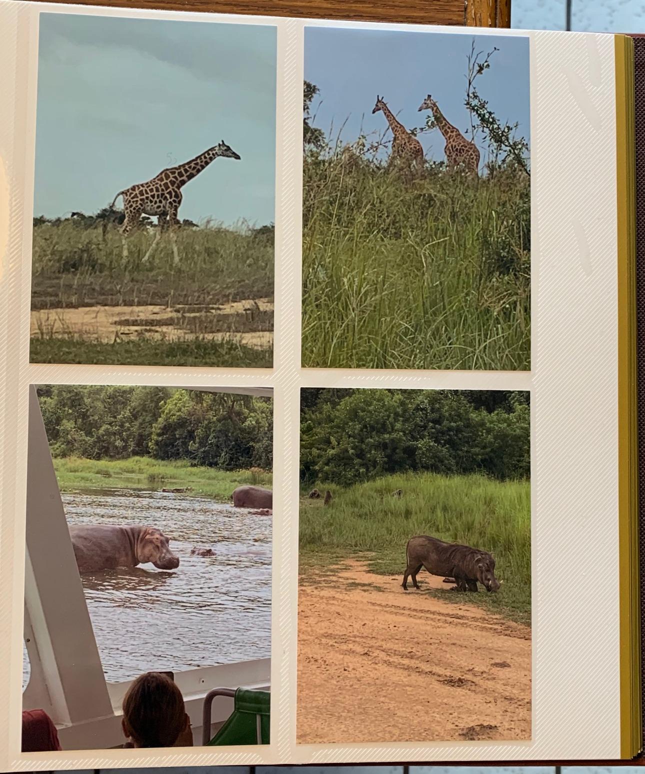 Magnetic Self-Stick Photo Album, Family Album, Leather Cover, Hand Made DIY Albums Holds 3x5, 4x6, 5x7, 6x8,8x10 Photos (Brown, Large) customer photo 2