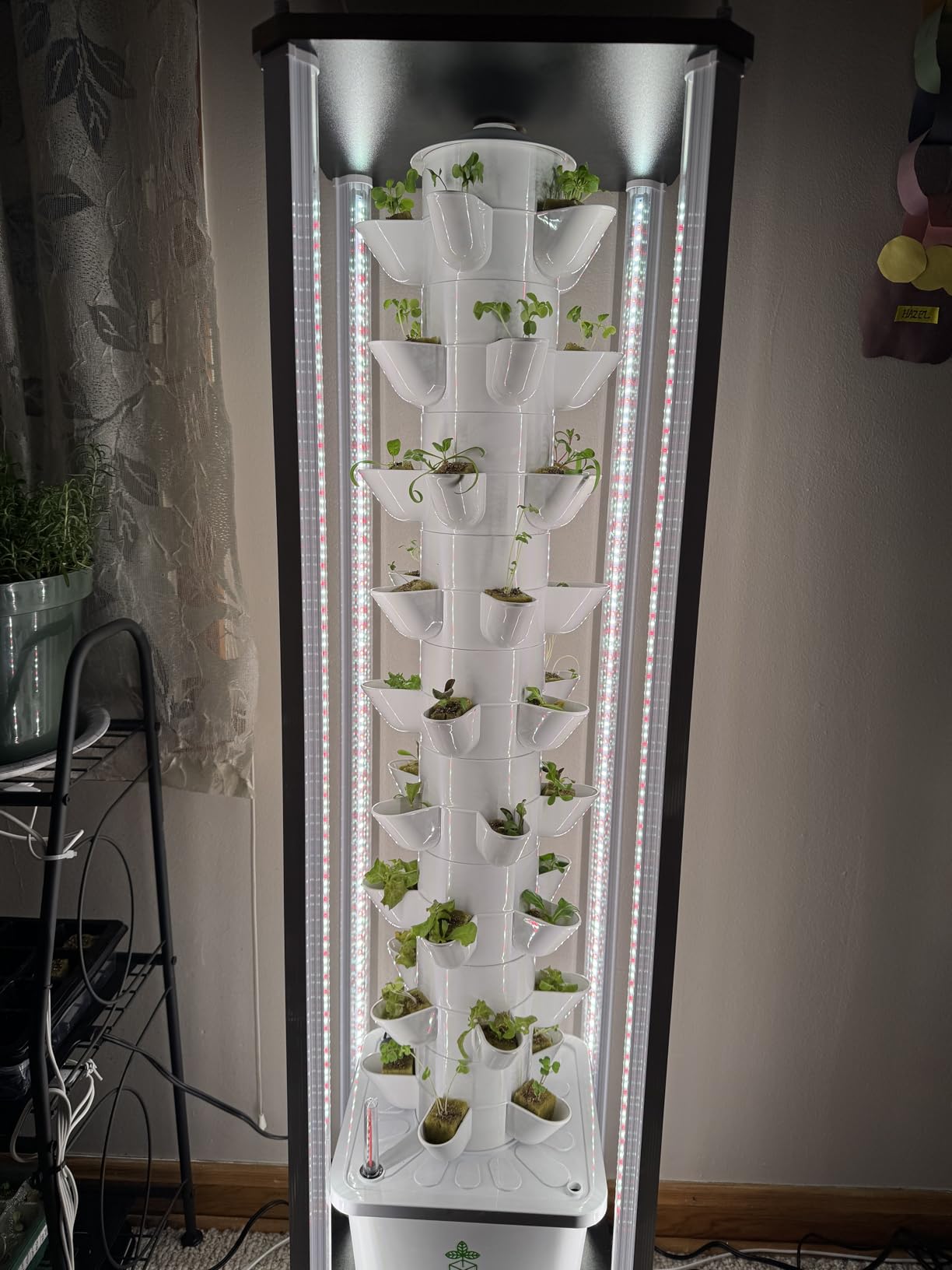 Hydroponic Tower Growing System，45 Pods Vertical Garden，Suitable for Indoor and Greenhouse, Grow Herbs and Vegetables，Houseplant Farming with Water Circulation and Automatic Timer customer photo 2