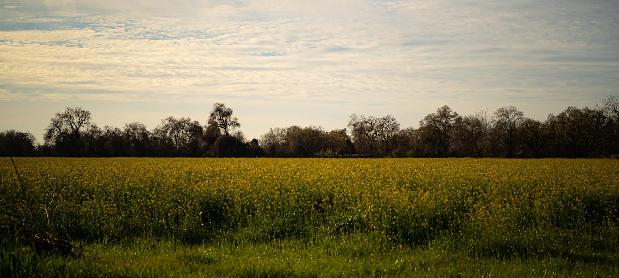 VILTROX AF 40mm f2.5 FE Full Frame Lens for Sony, 40mm f/2.5 Prime e Mount Lens for Sony a7cr a7ii a9iii a7cii a7rv a6700 a7iv a7iii ZV-E10 II a6600 a6400 customer photo 2