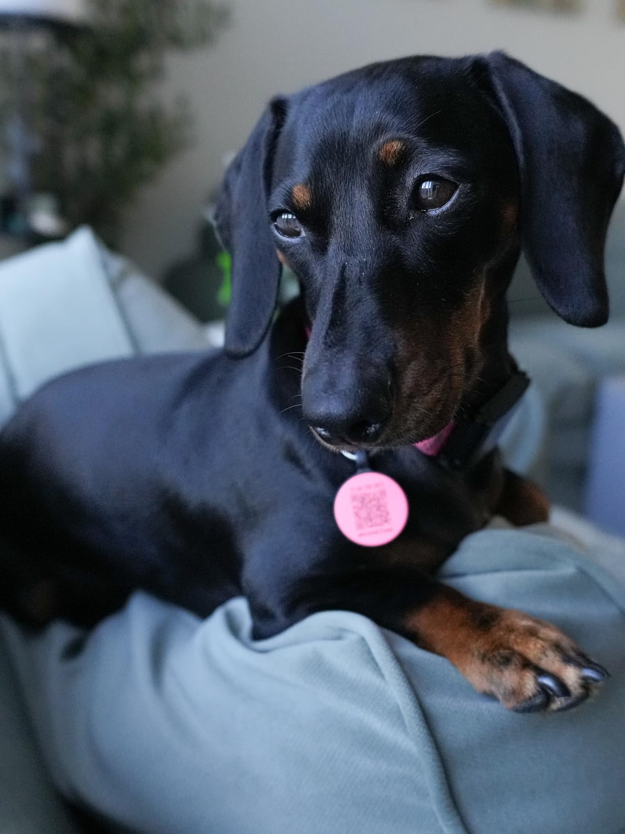 VILTROX 56mm F1.7 SLR Camera Lens E-Mount AF APS-C Large Aperture Wide-Angle Auto Focus Format Portrait Lens customer photo 1