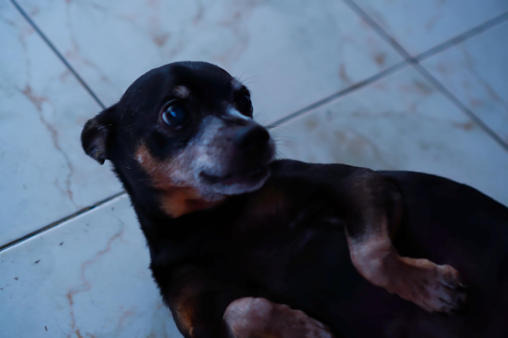 VILTROX 56mm F1.7 SLR Camera Lens E-Mount AF APS-C Large Aperture Wide-Angle Auto Focus Format Portrait Lens customer photo 2