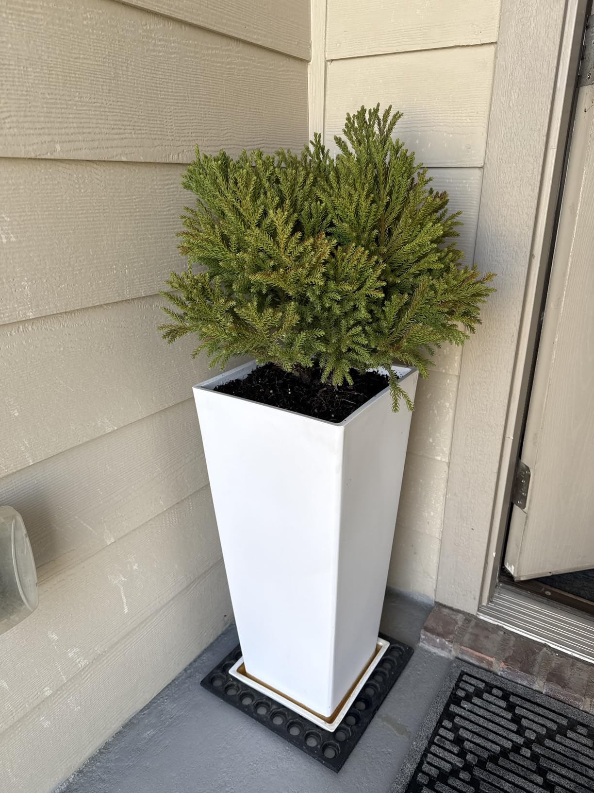Set of 2 Large Tall Planter for Indoor or Outdoor 24