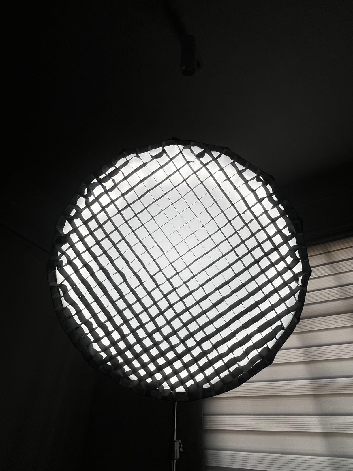 VEVOR Parabolic Softbox, 33 in / 850 mm, Quick Release and Quick Fold, Lightweight and Portable, Universal Bowens Mount, 4 Lighting Effects, Fits for Professionoal Photography, Daily Filming customer photo 2