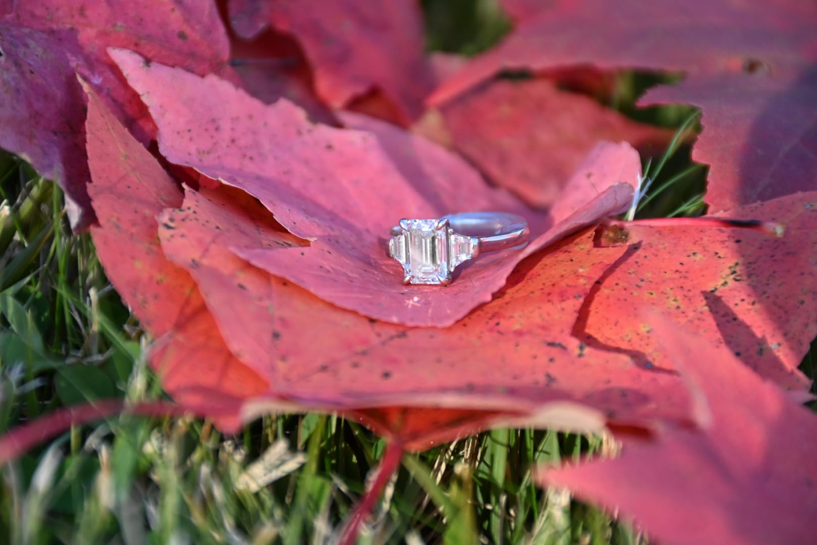 Nikon Z50 II with Two Lenses | Compact mirrorless Stills/Video Camera with Easy Color presets and Wireless Photo Sharing | USA Model customer photo 2