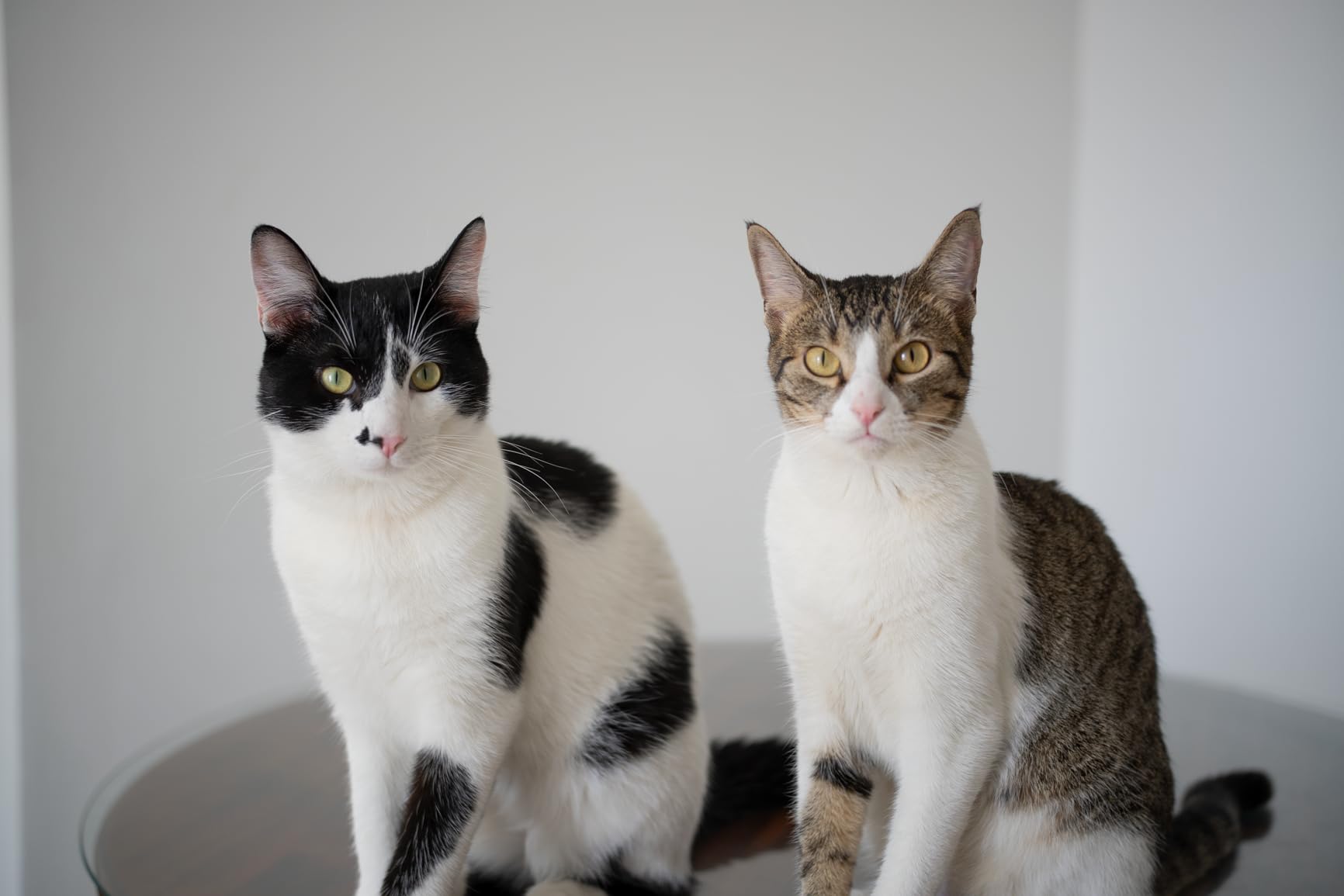 VILTROX 35mm f1.7 E, AF 35mm F1.7 E Mount Lens for Sony E, Auto Fcous APS-C Large Aperture Prime Lens for Sony ZV-E10 II EV10 a6700 a6600 a6400 a7c ii a7rv a7iii customer photo 2