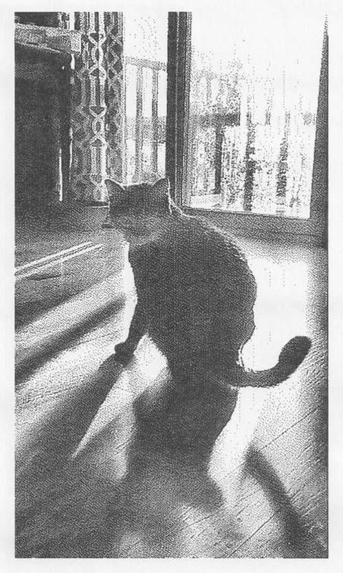 Kids Camera Instant Print, Christmas Birthday Gifts for Kids Age 3-12, Selfie Digital Camera with 1080P Videos,Toddler Portable Travel Cameras Toy for 4 5 6 7 8 9 Year Old Boys Black customer photo 2